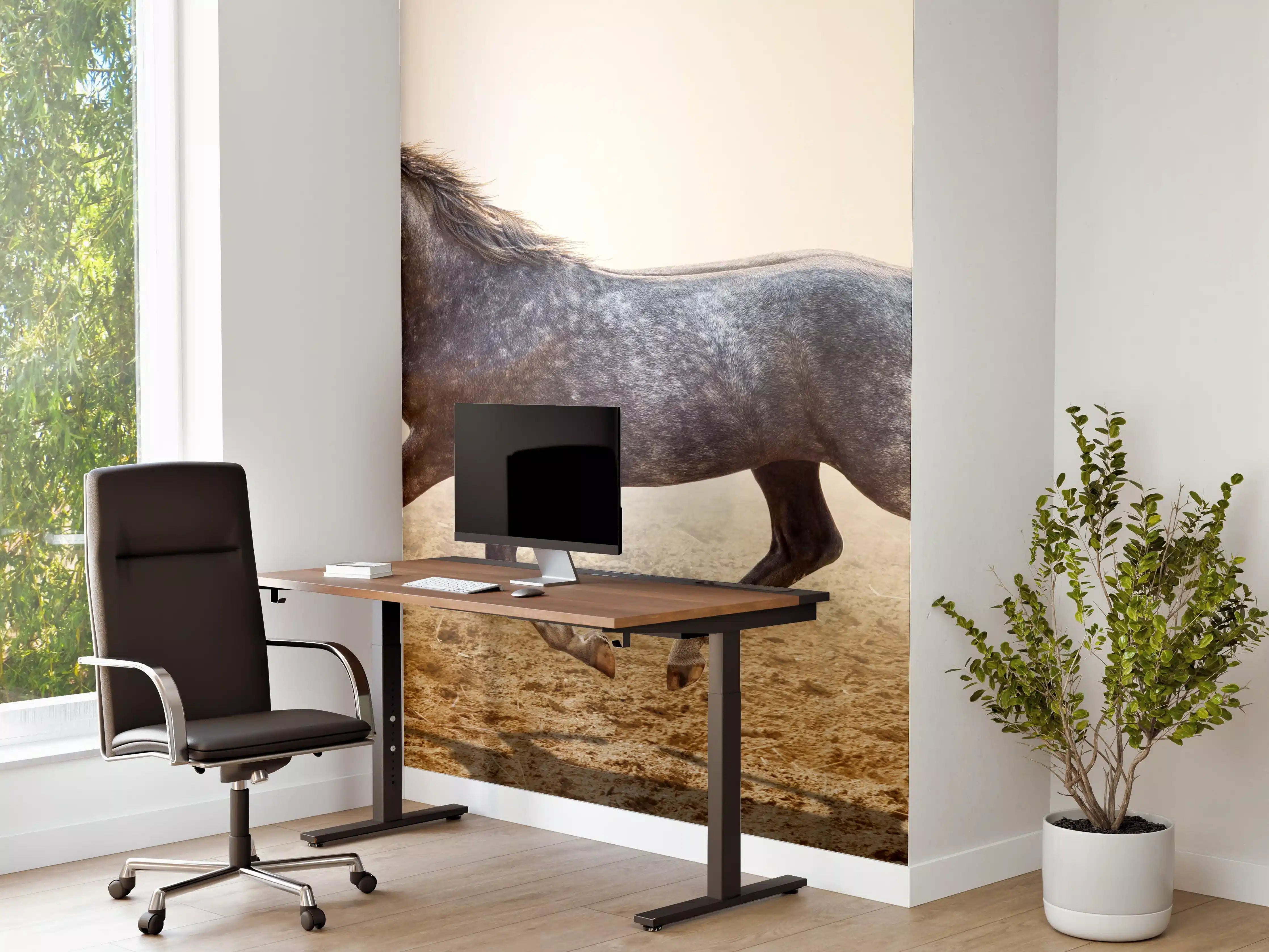 Büro Wandgestaltung - Ein graues Pferd reitend auf einem Feld