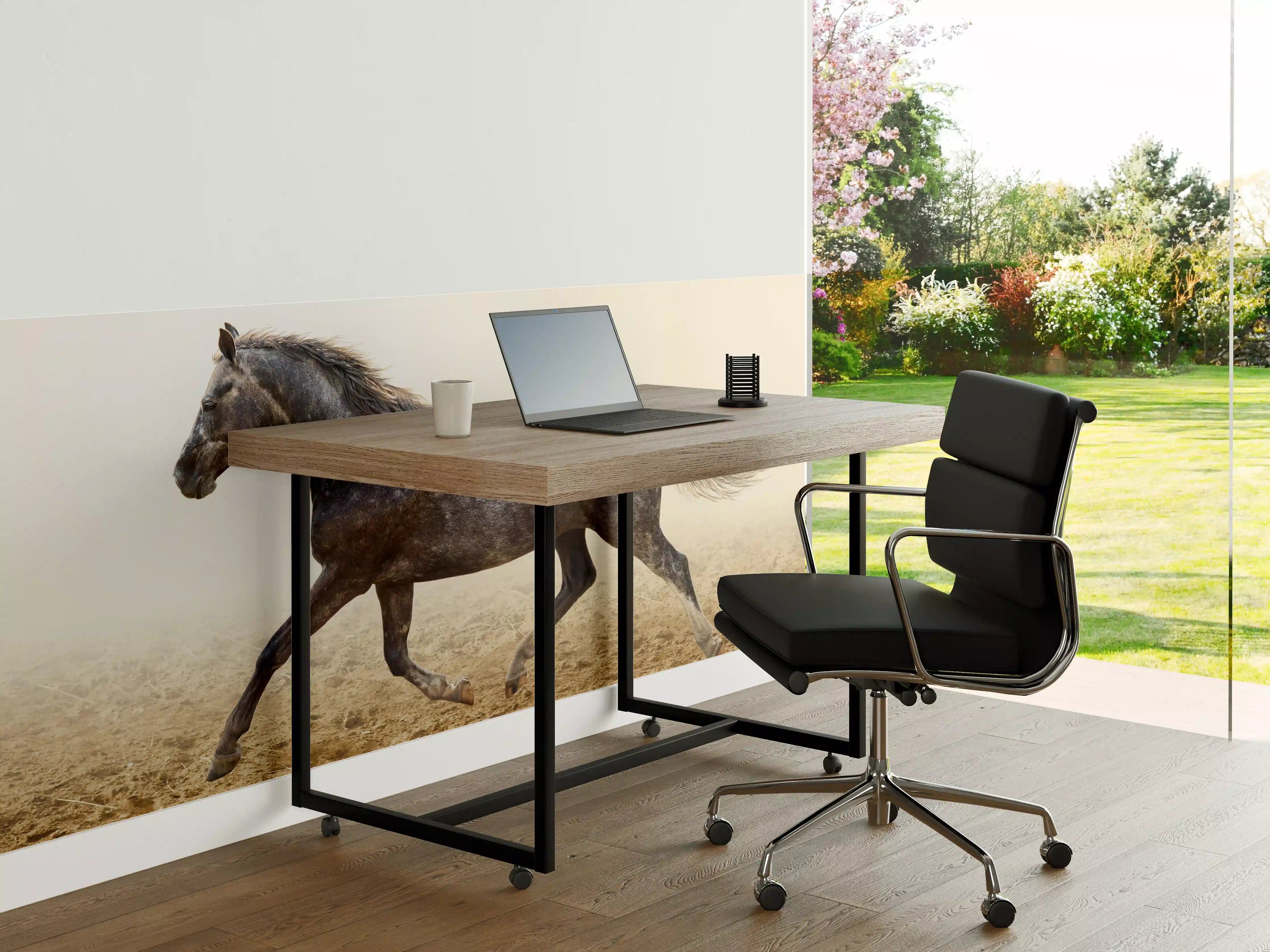 Büro Wandgestaltung - Ein graues Pferd reitend auf einem Feld