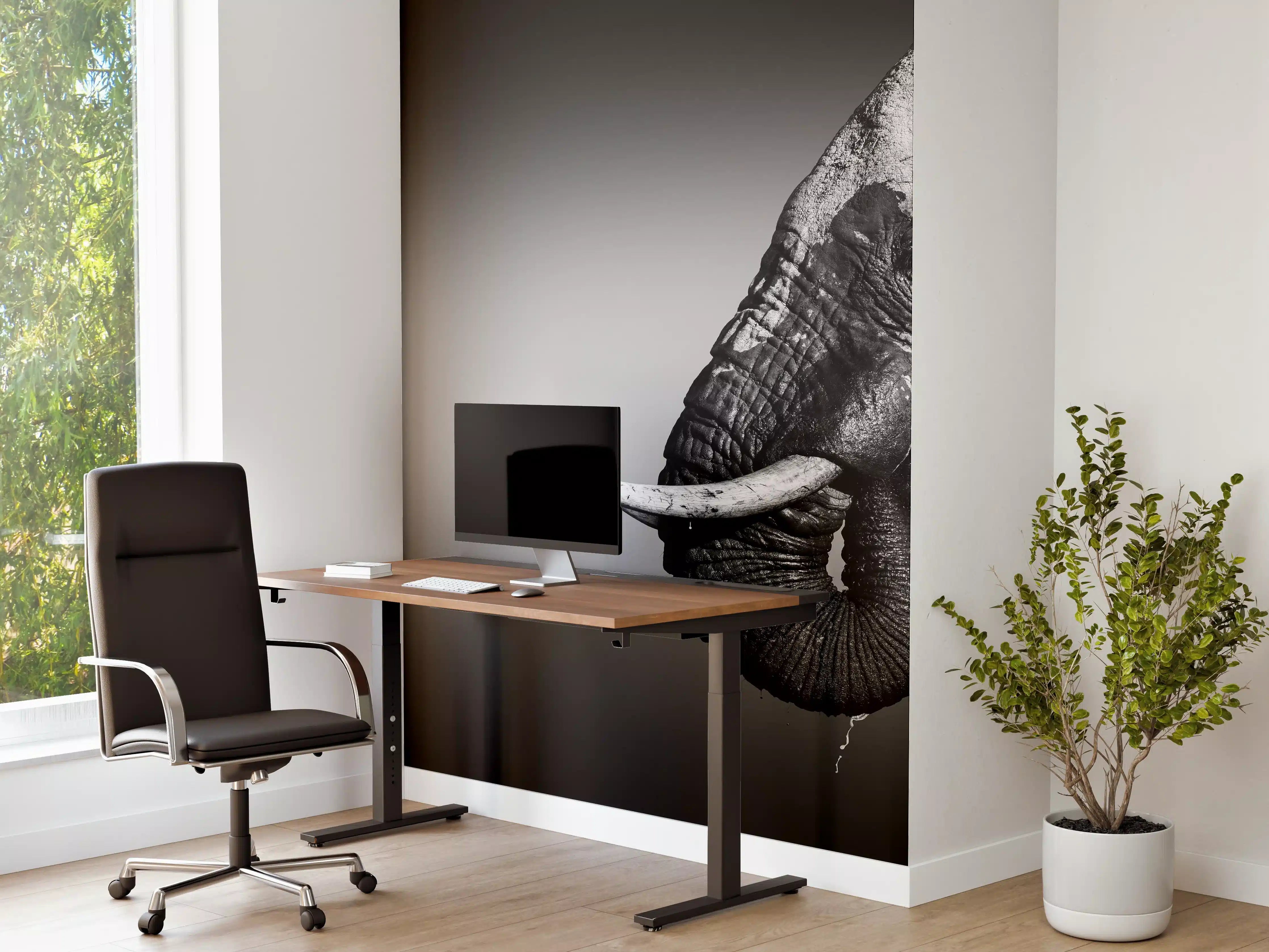 Büro Wandgestaltung - Elefanten Portrait