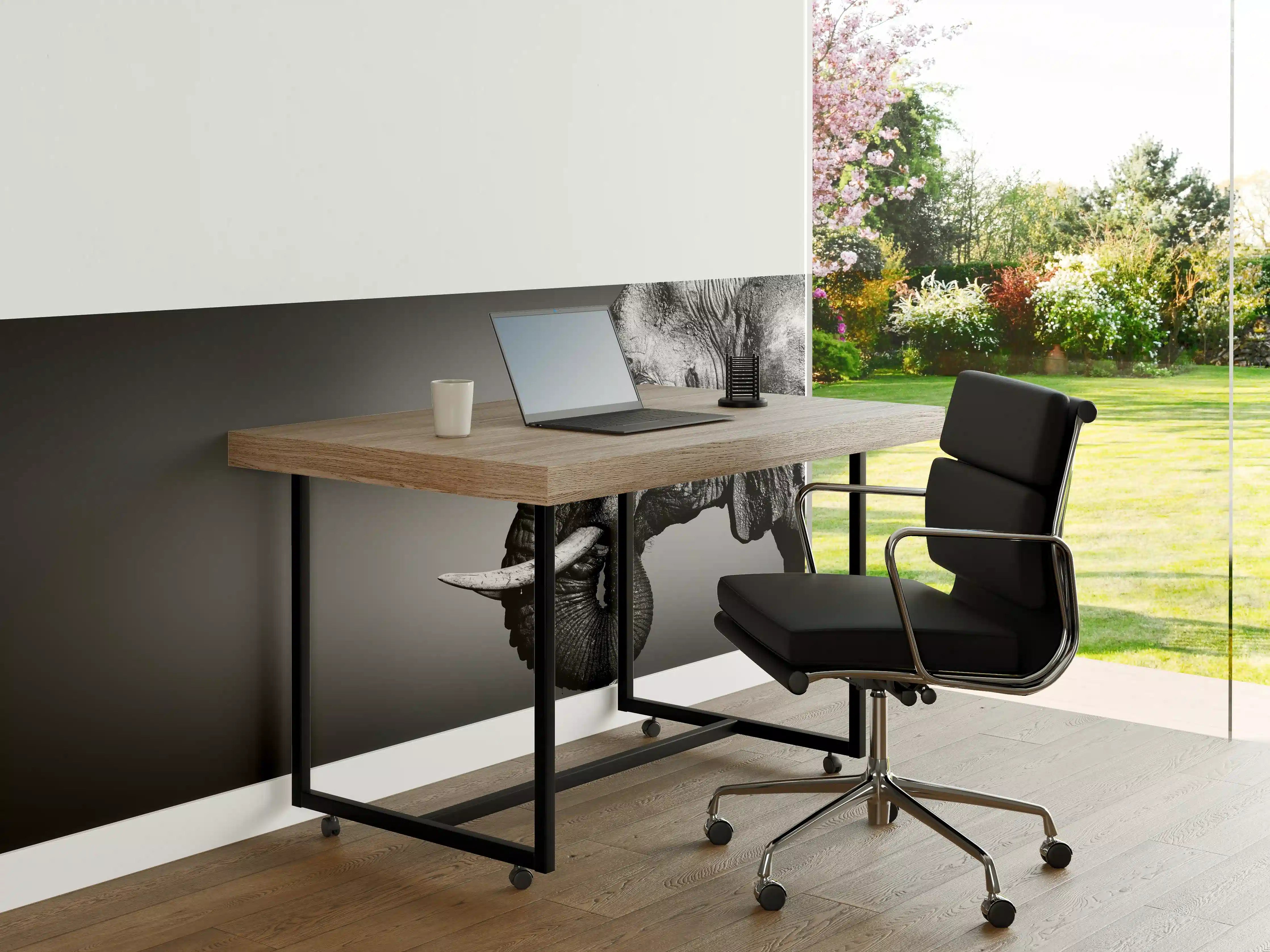 Büro Wandgestaltung - Elefanten Portrait