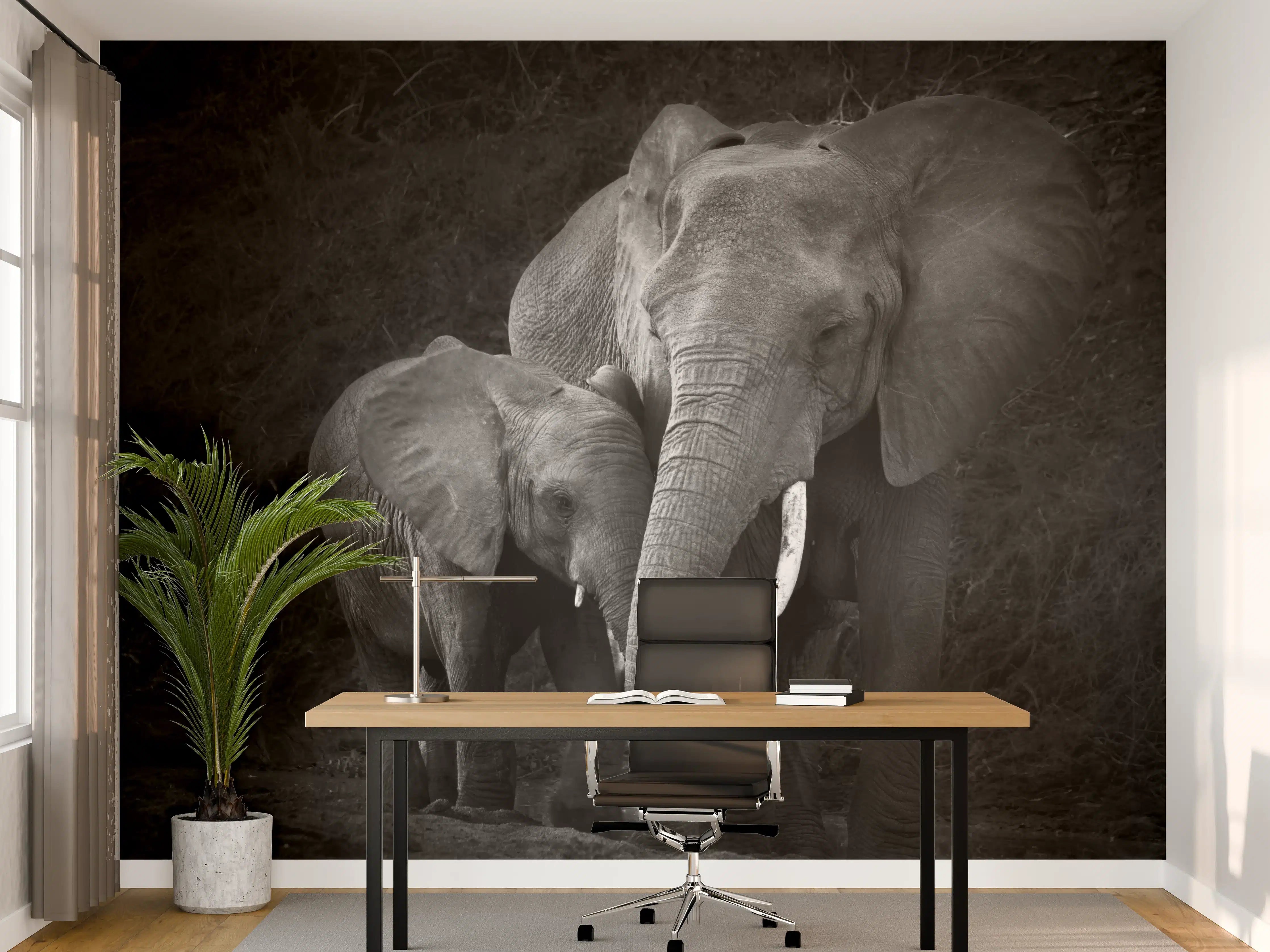 Büro Wandgestaltung - Elefanten in der Natur - schwarz-weiß