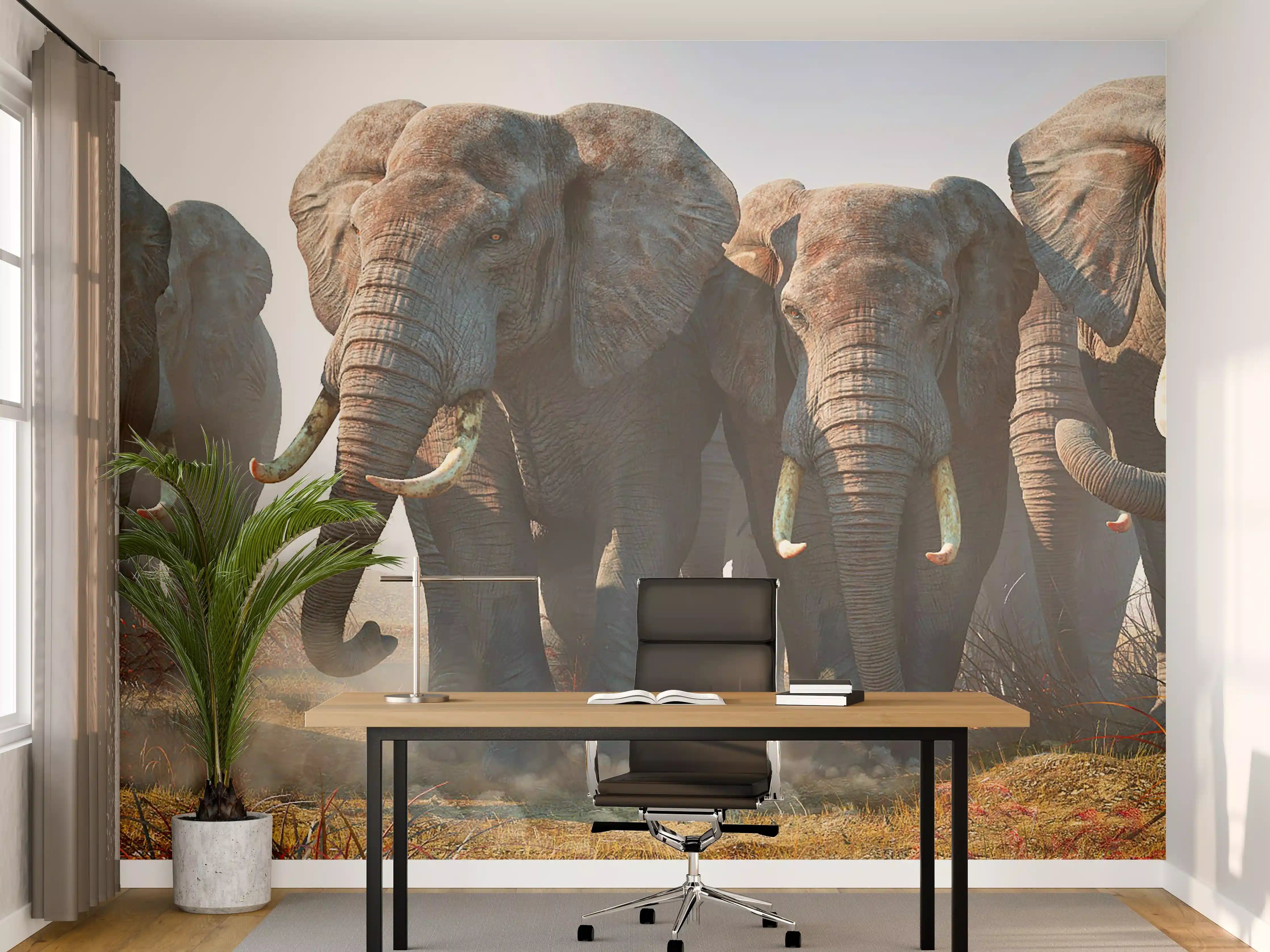 Büro Wandgestaltung - Elefantenherde in der Wüste