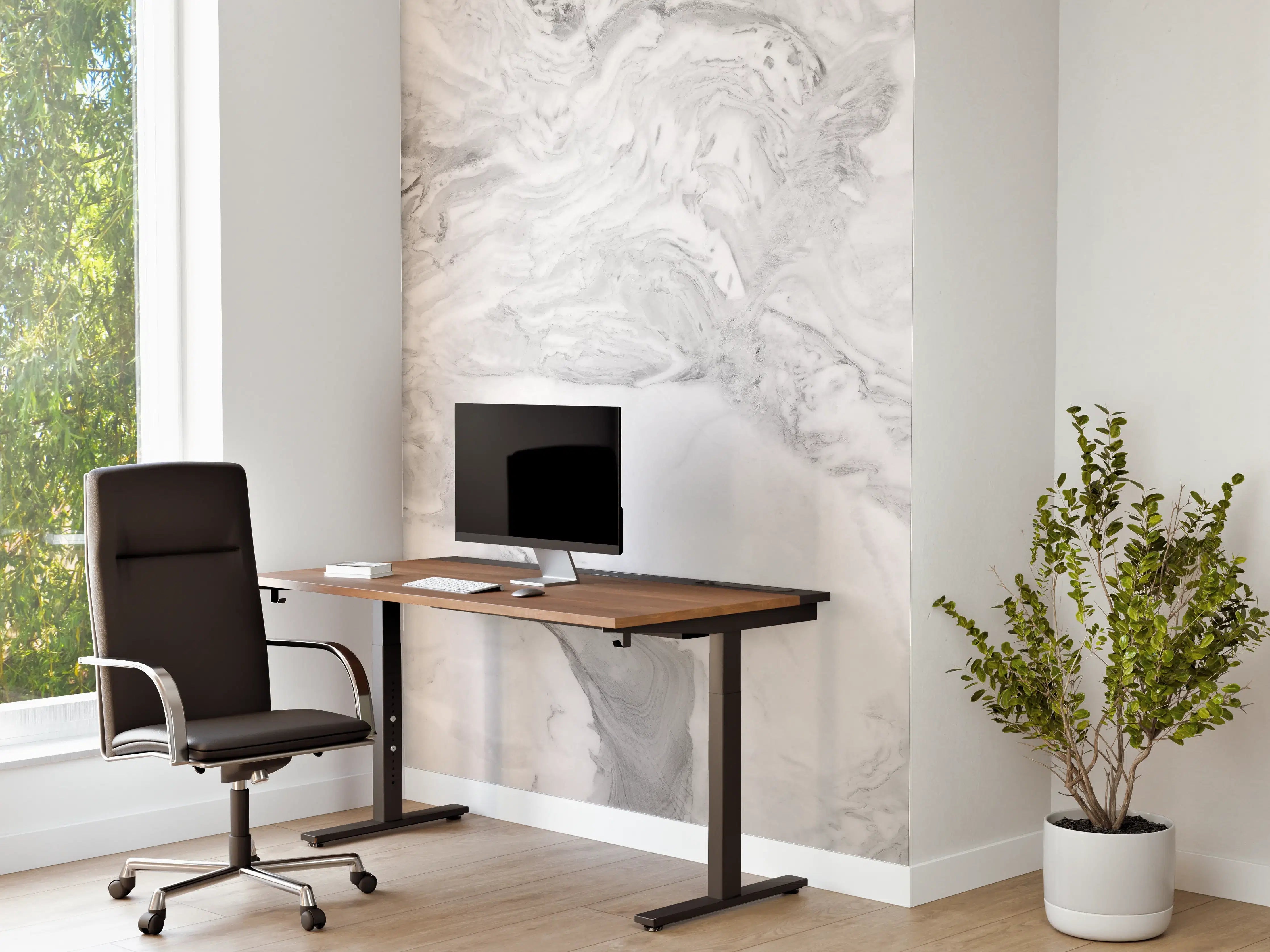Büro Wandgestaltung - Elfenbein italienischer Marmor