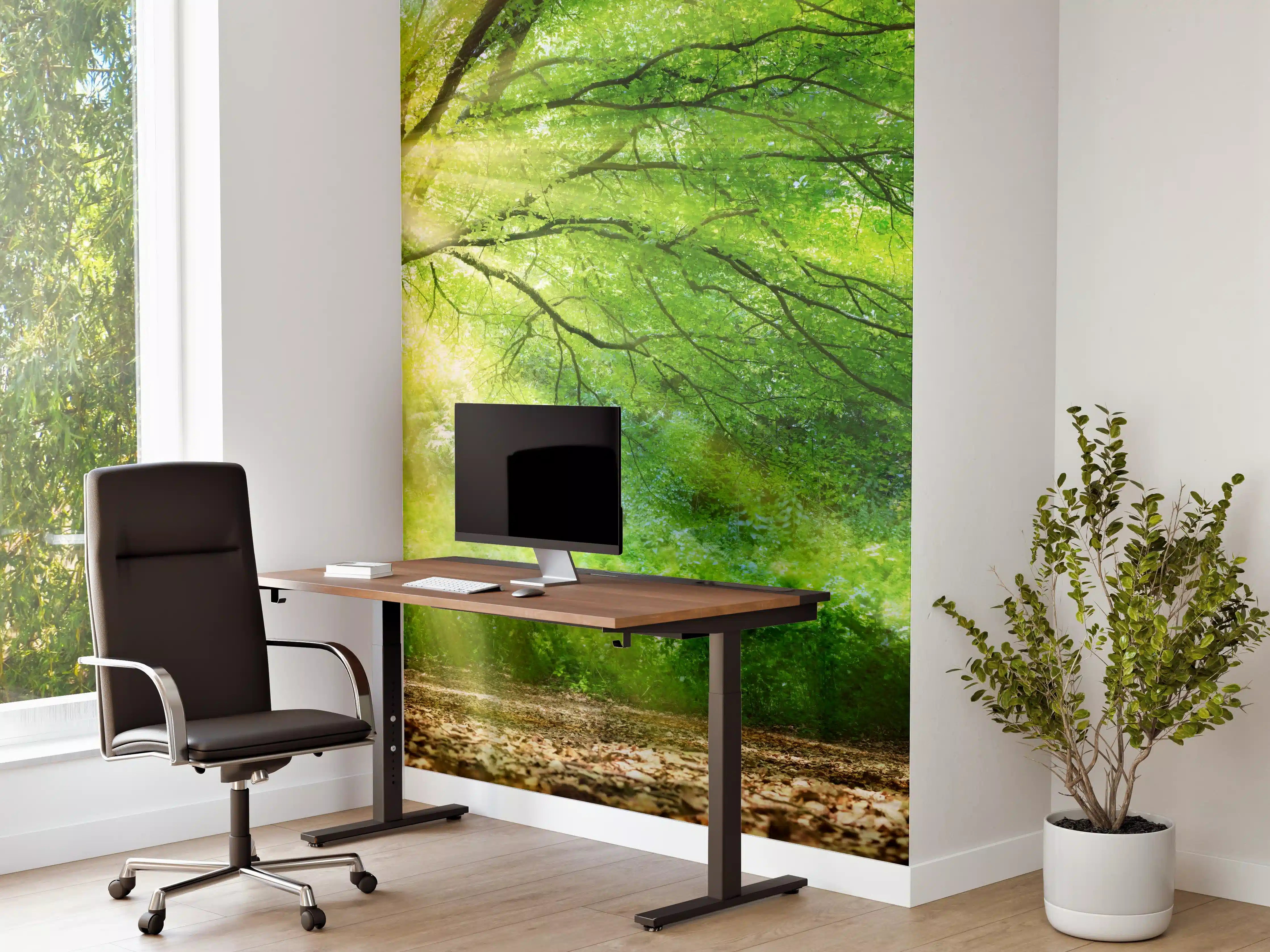 Büro Wandgestaltung - Energiegeladener Wald