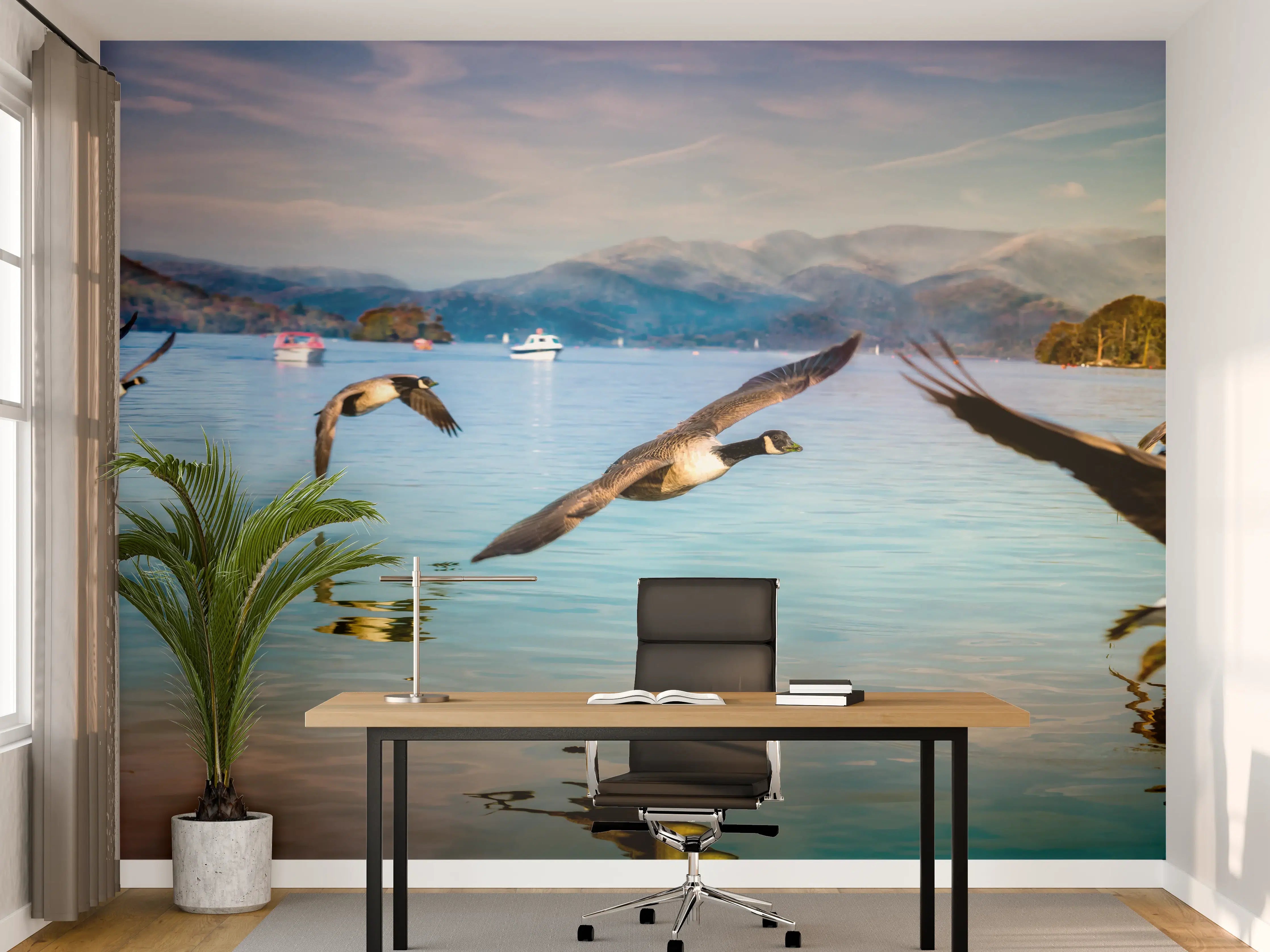 Büro Wandgestaltung - Entenschwarm am Lake Windermere