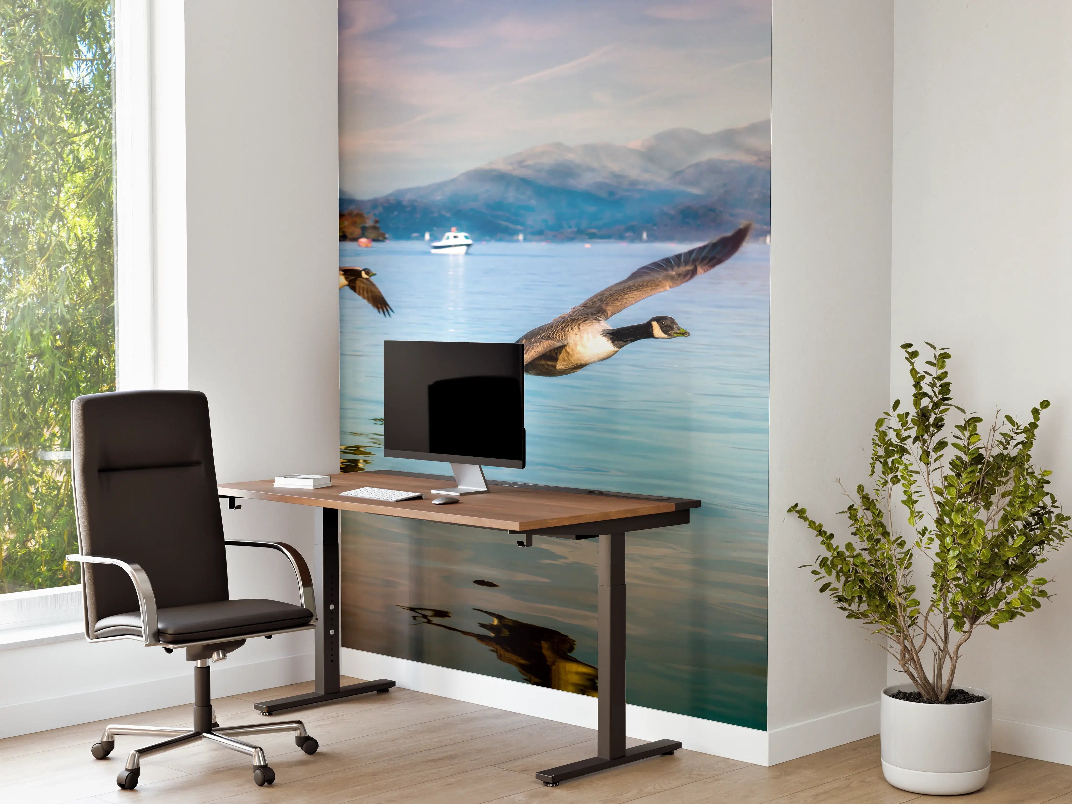 Büro Wandgestaltung - Entenschwarm am Lake Windermere