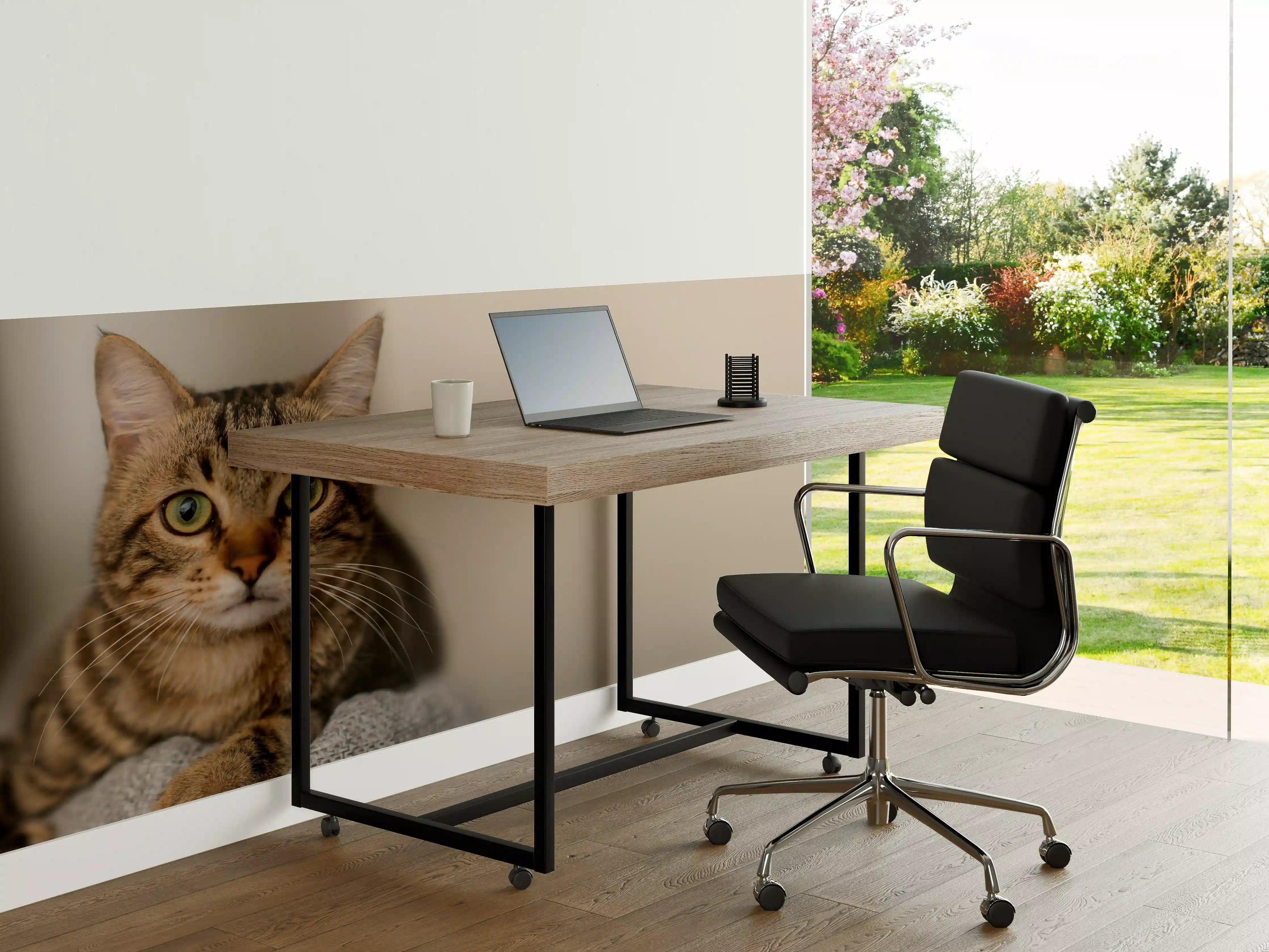 Büro Wandgestaltung - Entspannte Hauskatze in Beige-Braun