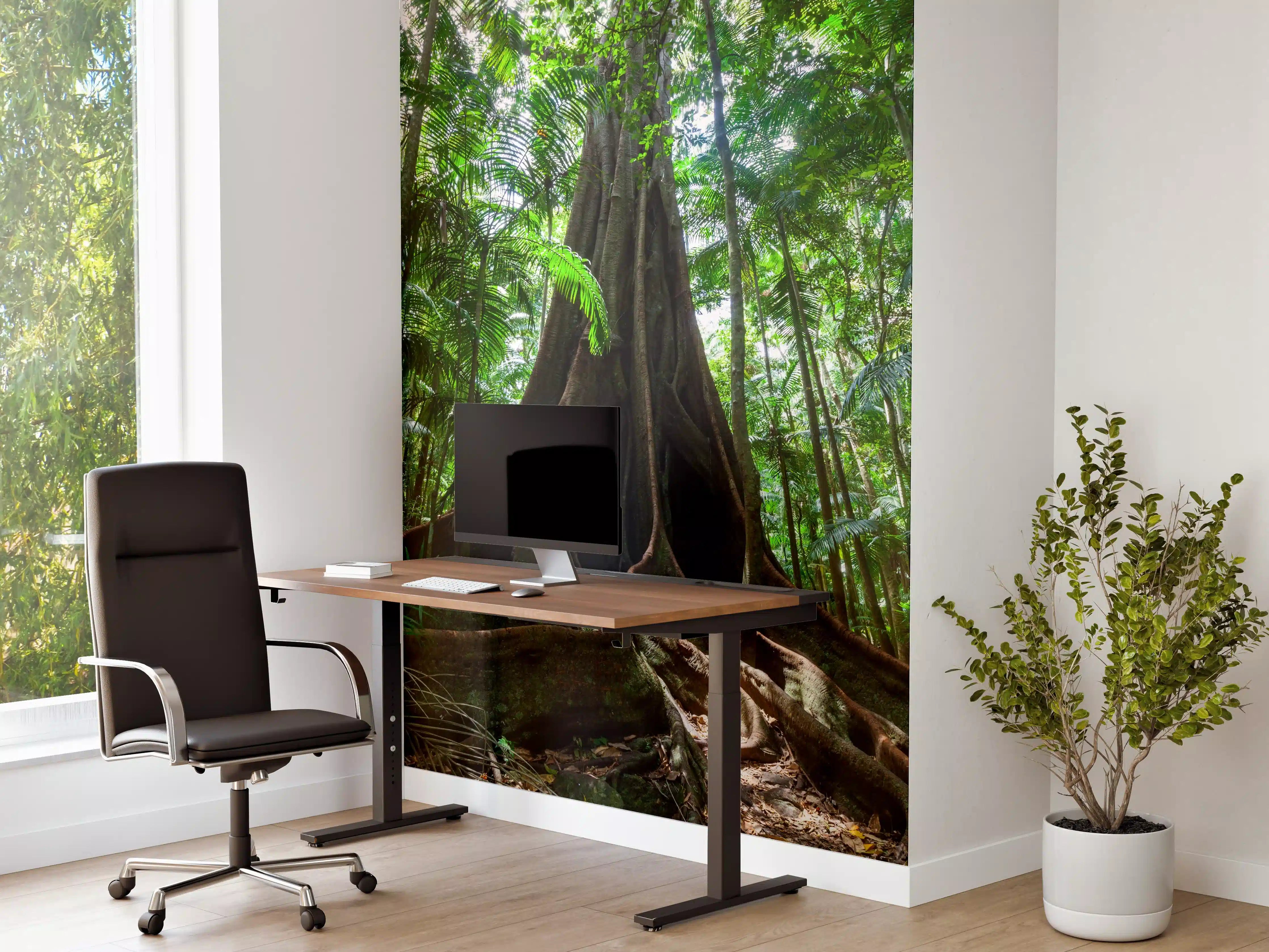 Büro Wandgestaltung - Erstaunlicher Riesenfeigenbaum