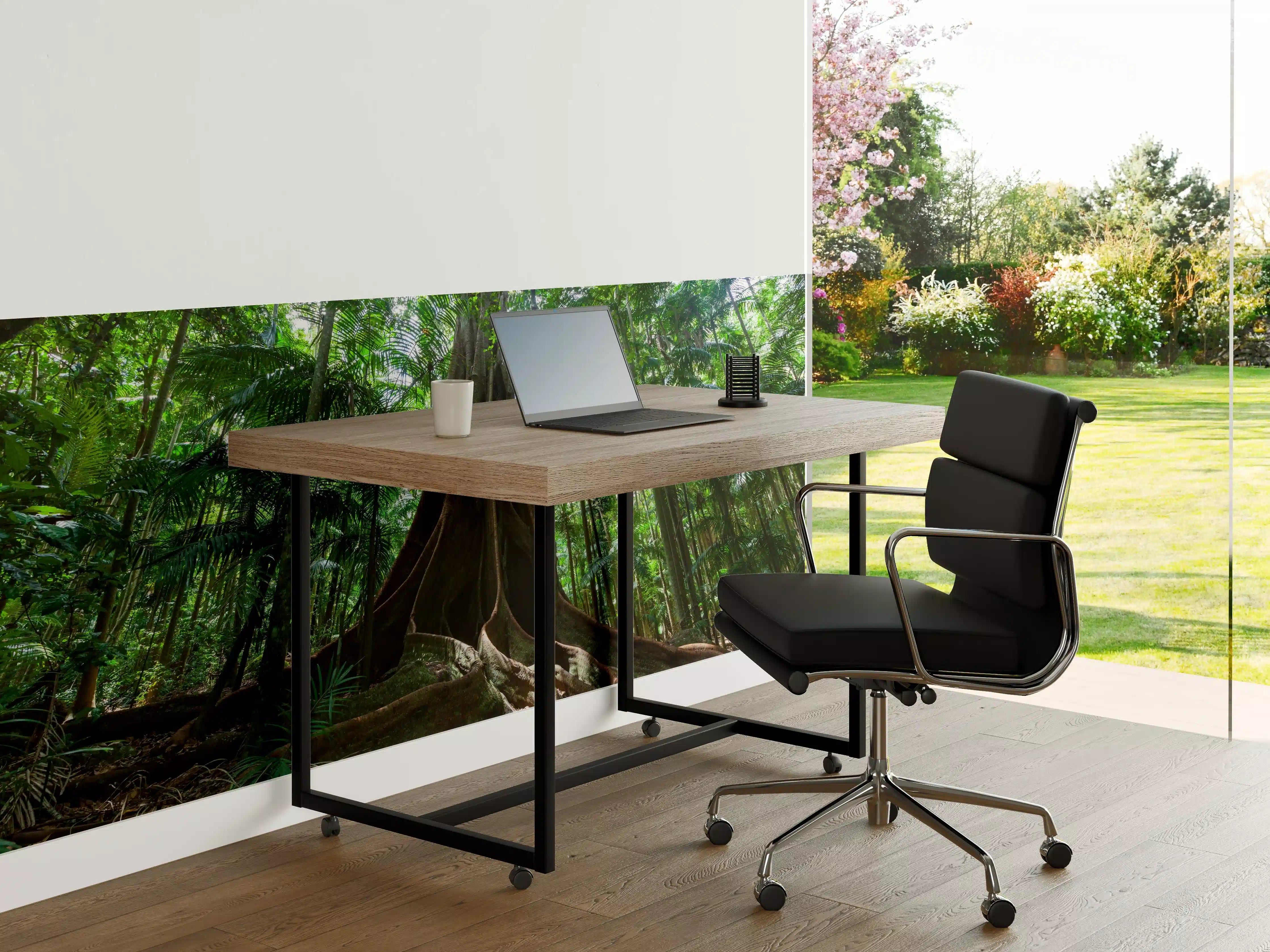 Büro Wandgestaltung - Erstaunlicher Riesenfeigenbaum