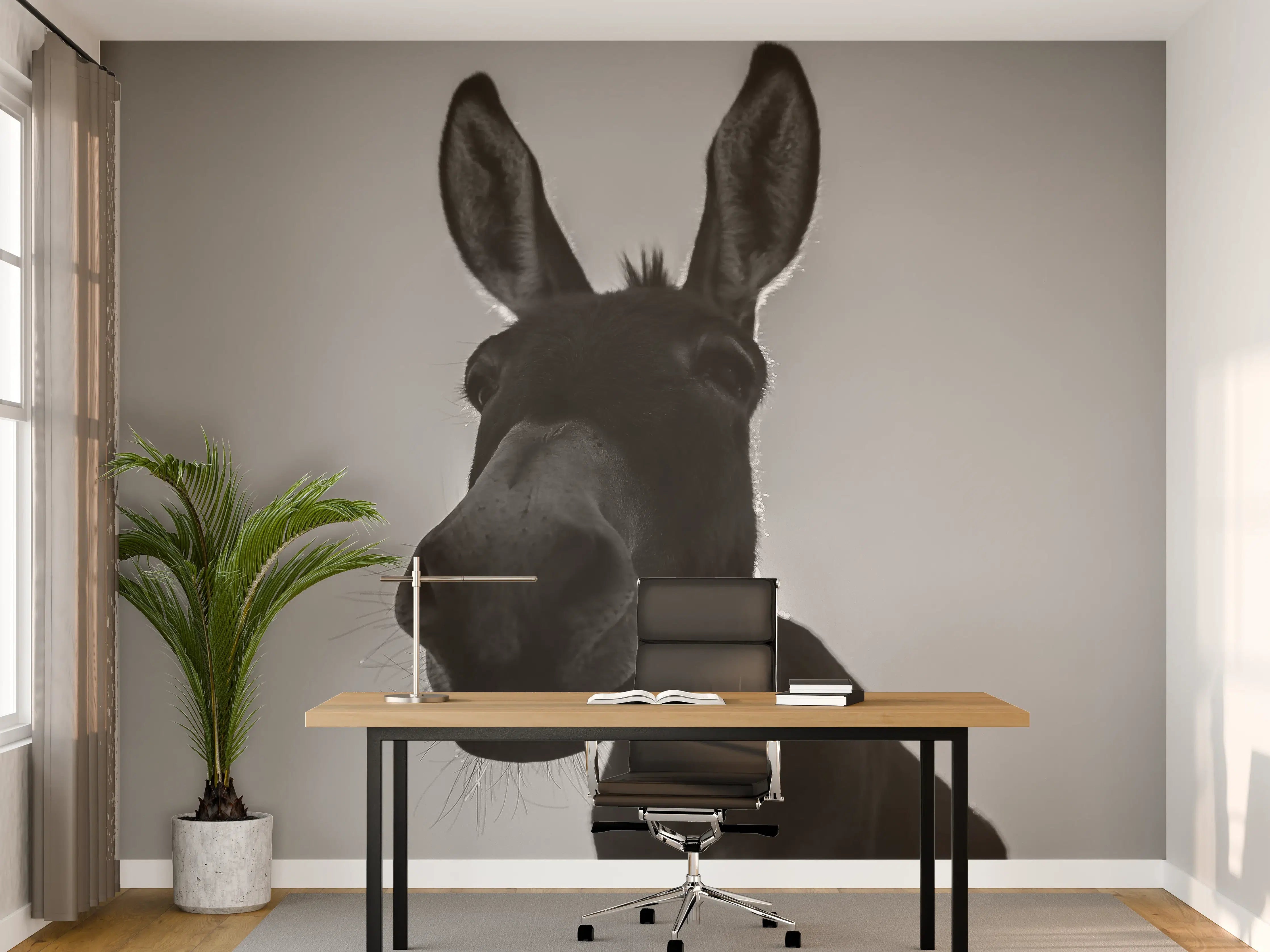 Büro Wandgestaltung - Esel - schwarz-weiß