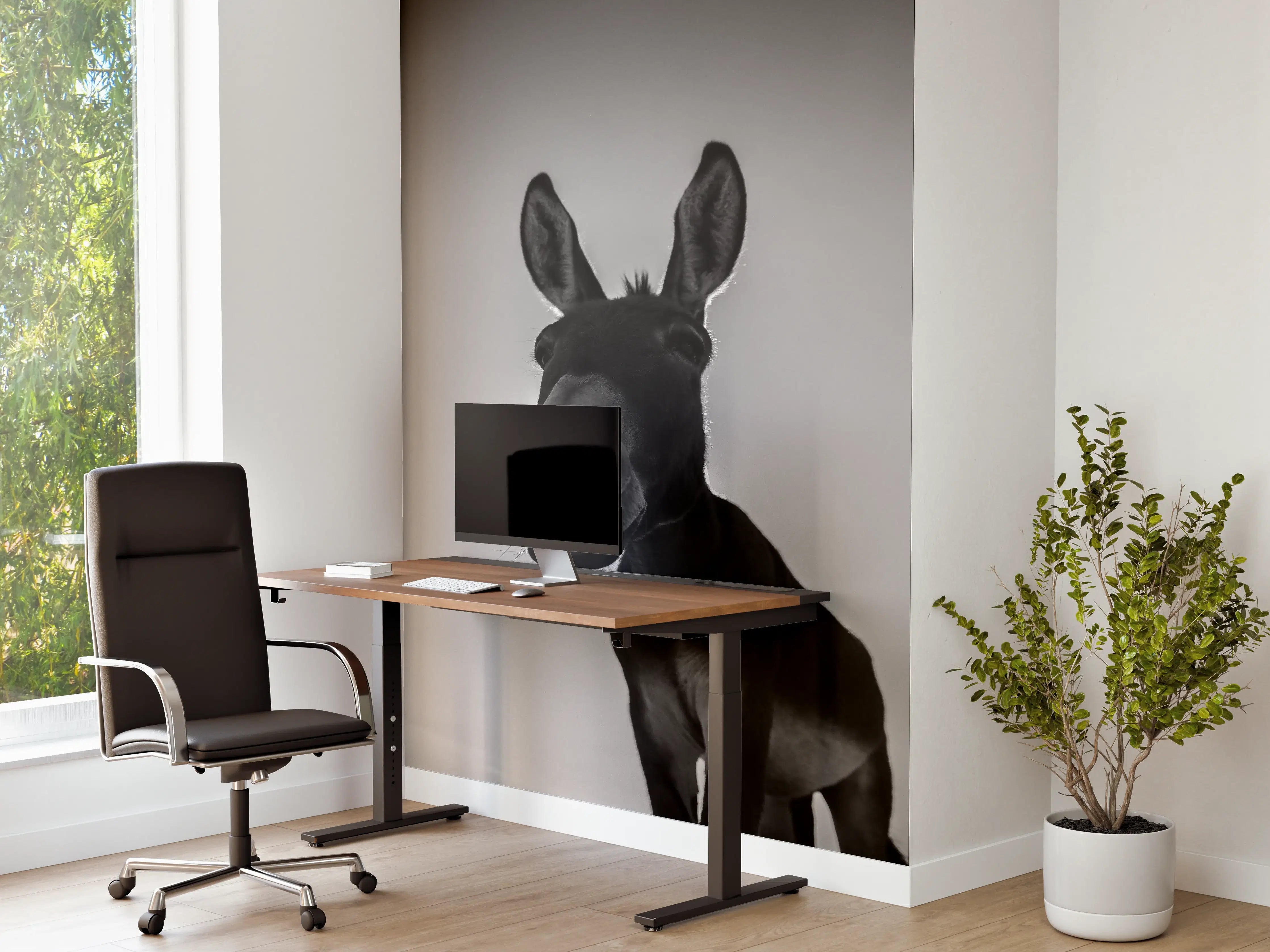 Büro Wandgestaltung - Esel - schwarz-weiß