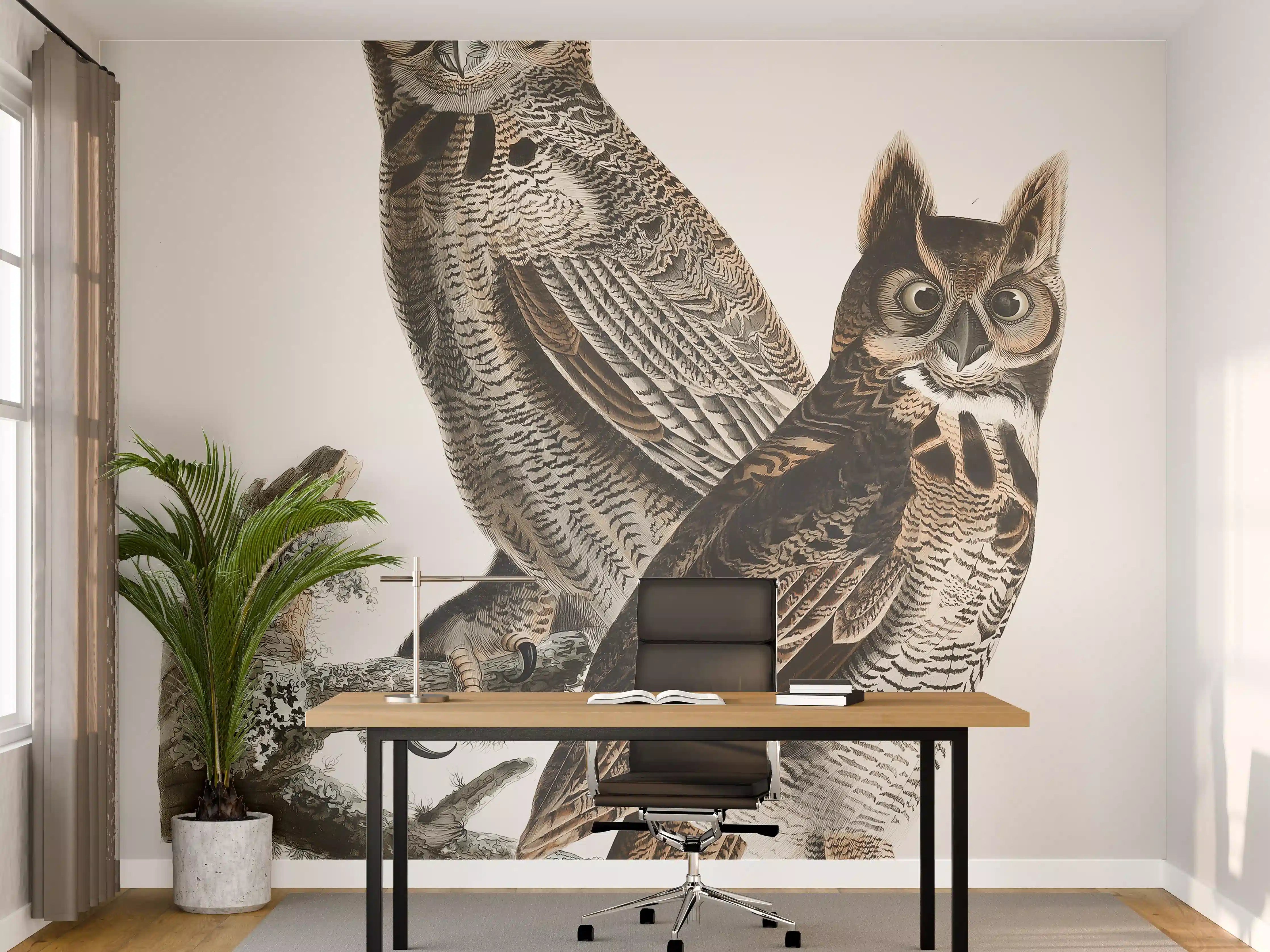 Büro Wandgestaltung - Eulen Portrait - Robert Havell