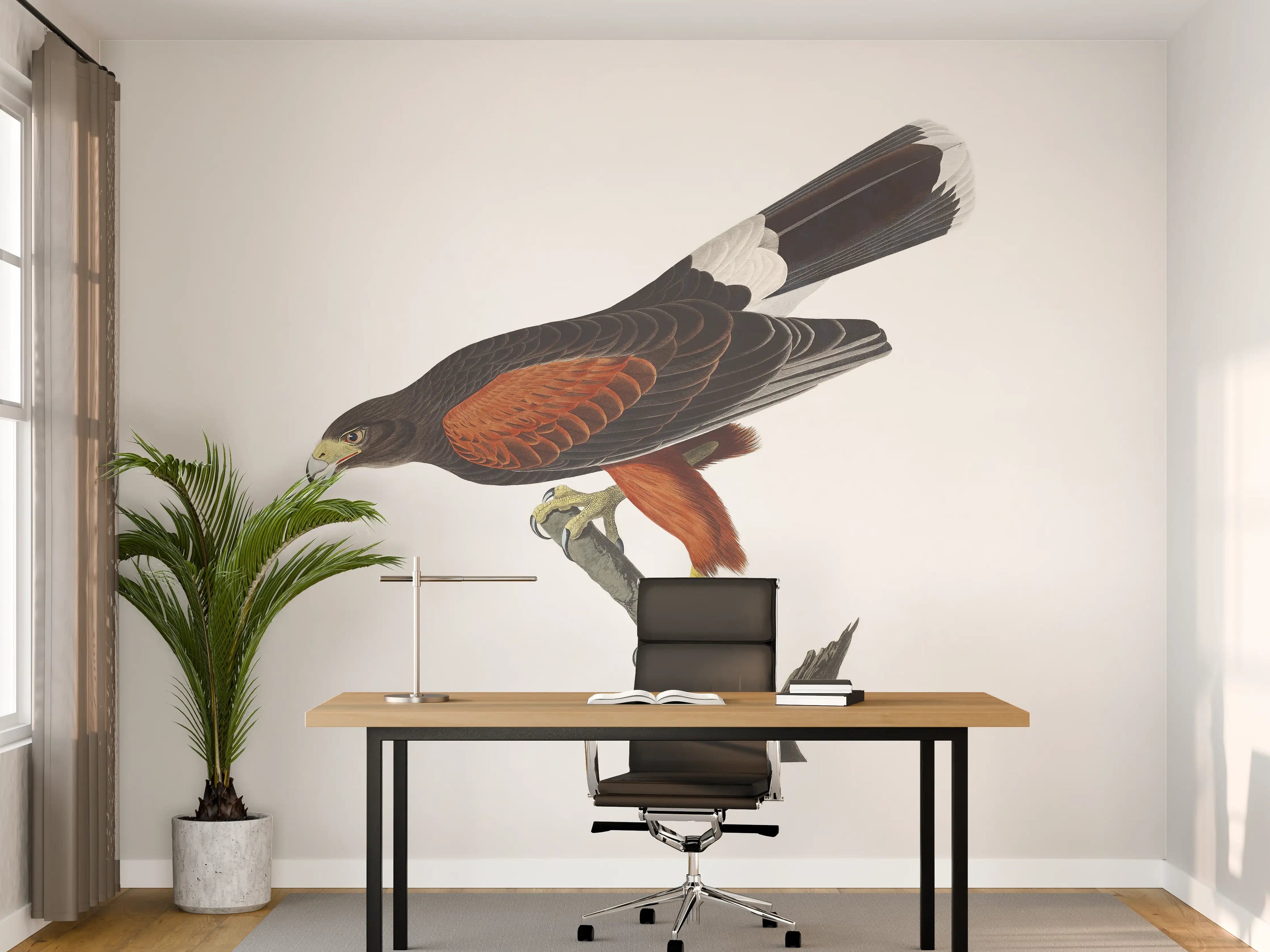 Büro Wandgestaltung - Falken Portrait - John James Audubon