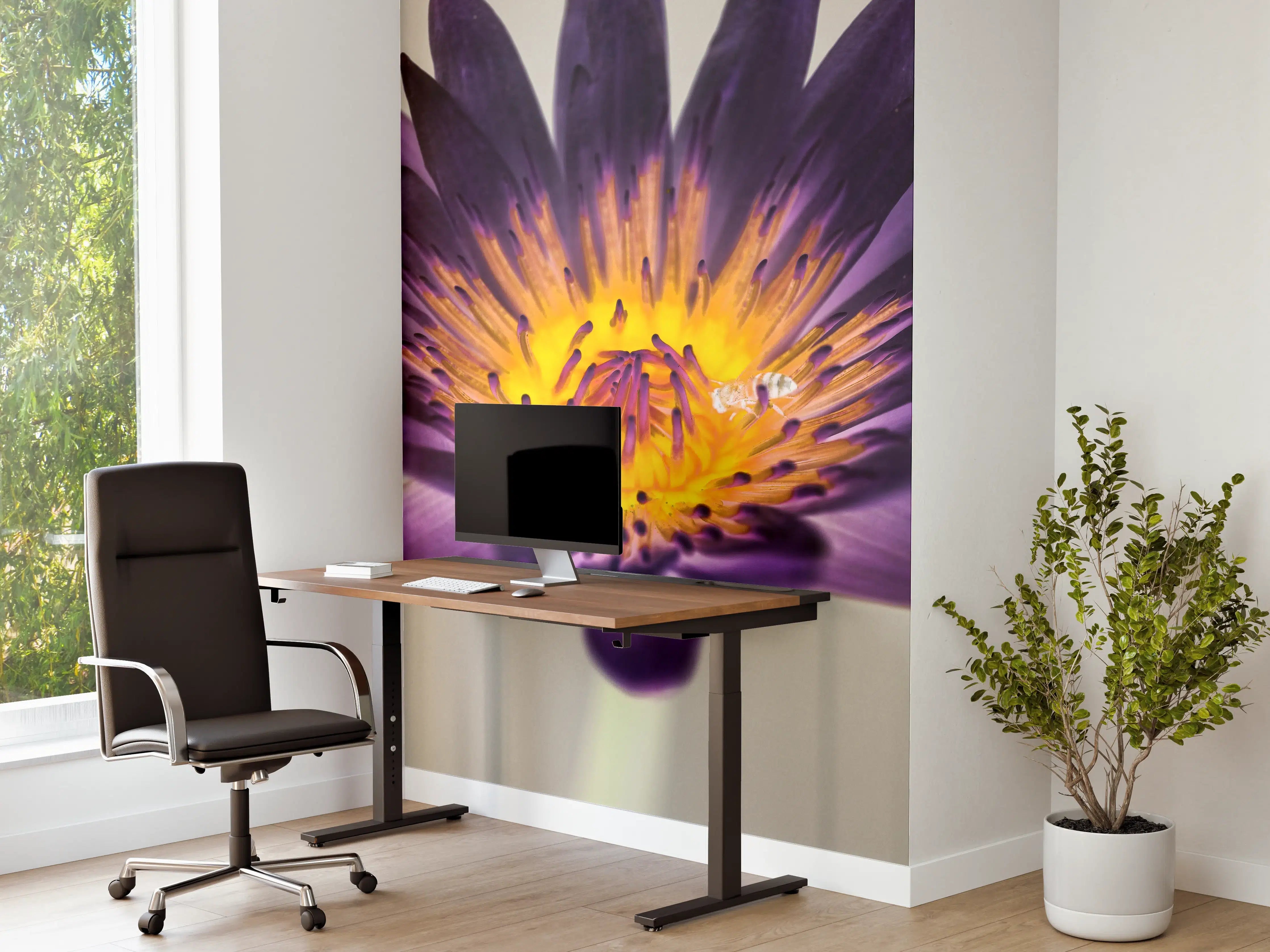 Büro Wandgestaltung - Farbenprächtige Wasserlilie Lila-Gelb