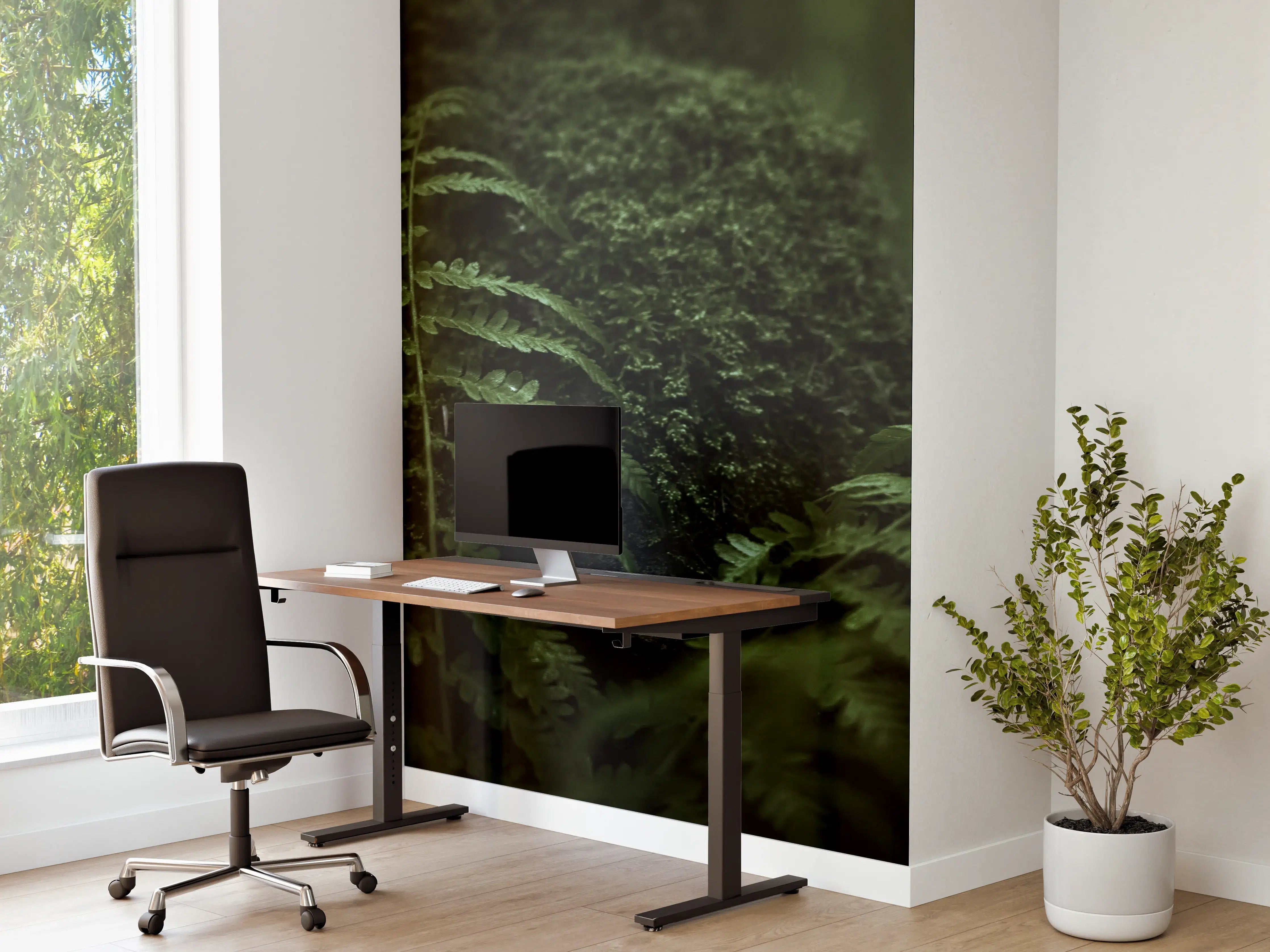Büro Wandgestaltung - Farn im Wald des Allgäu bei Dunkelheit
