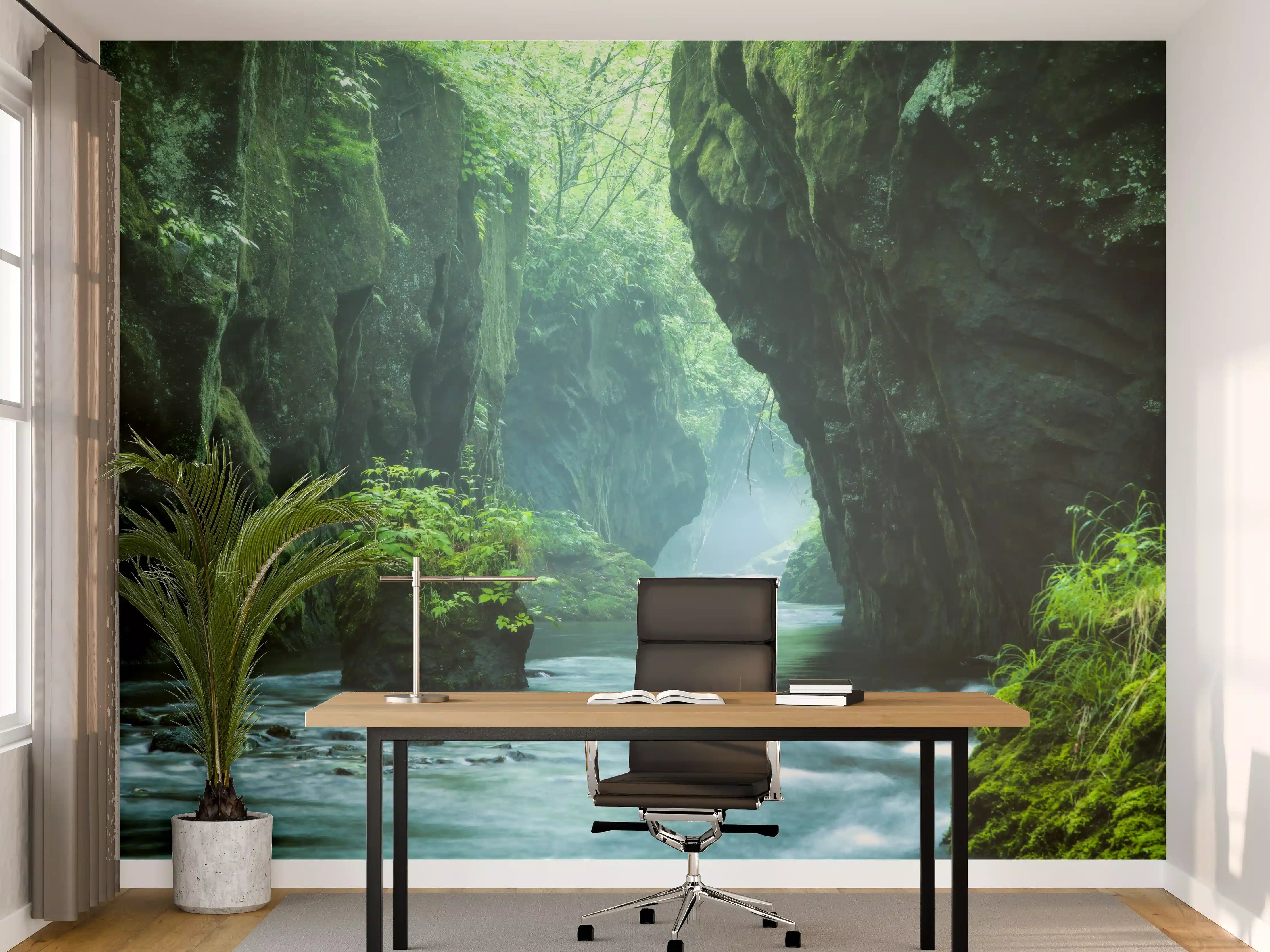 Büro Wandgestaltung - Felsschlucht im Dschungel Hokkaidos