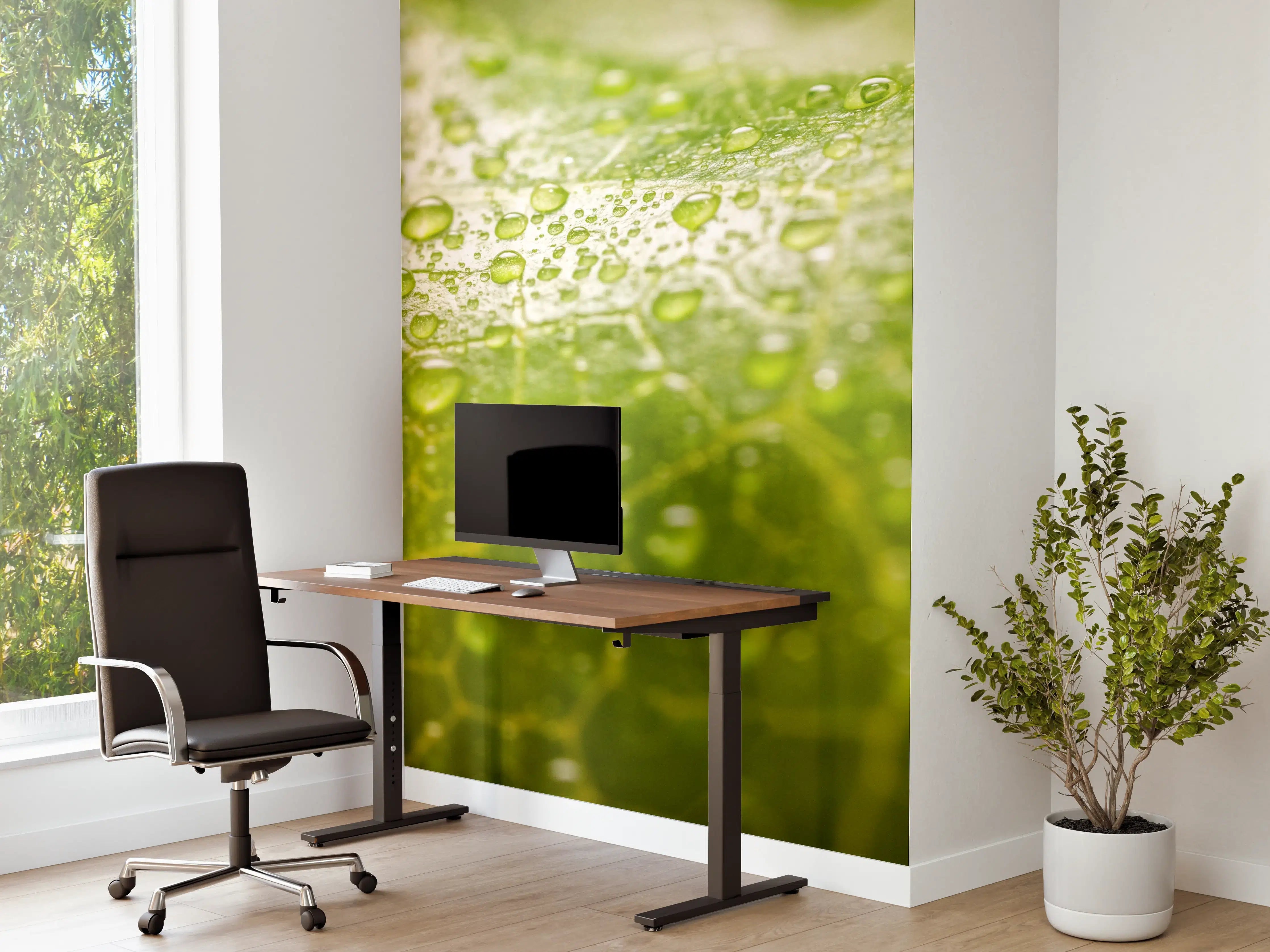 Büro Wandgestaltung - Feuchtes Blatt
