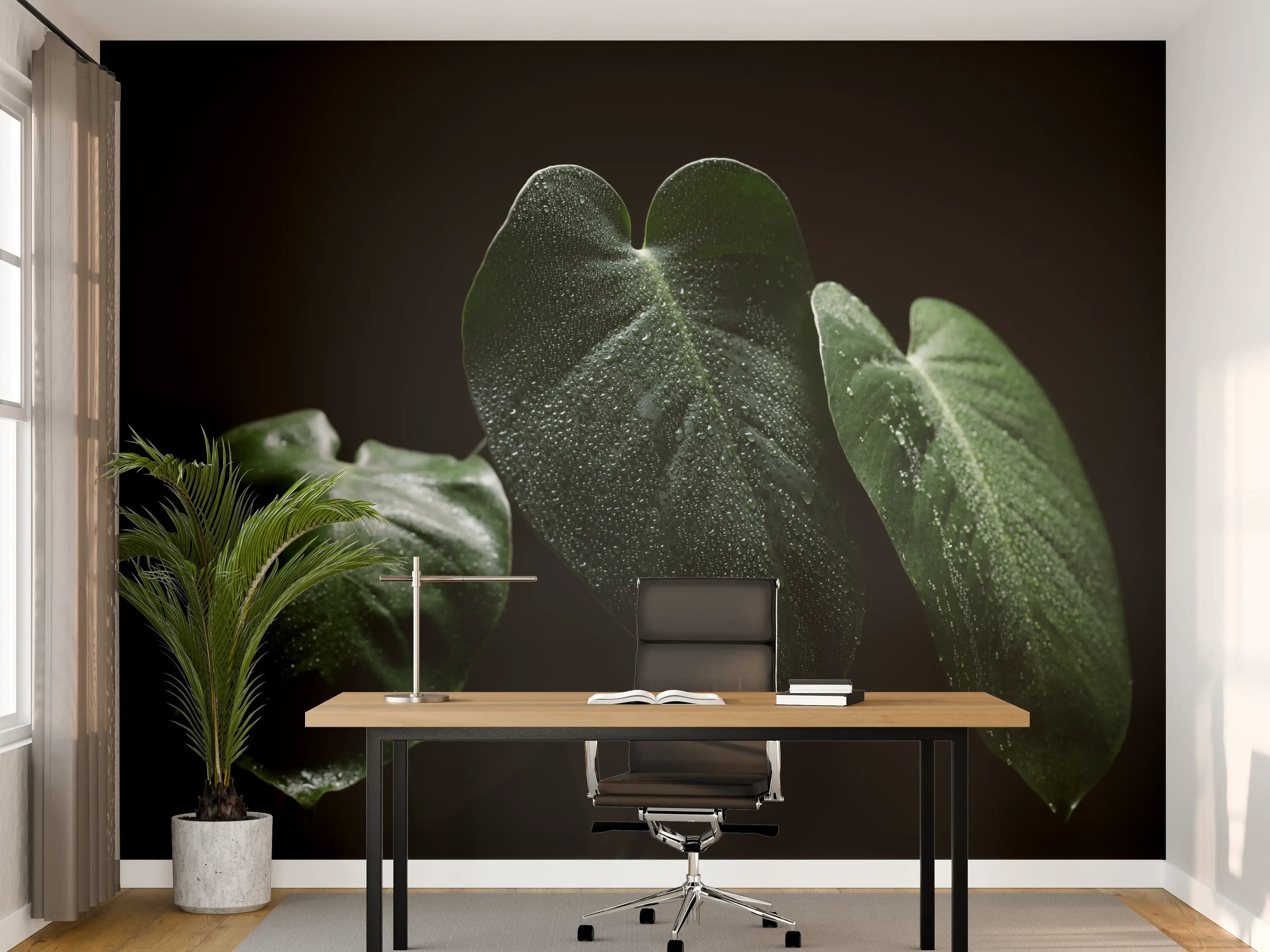 Büro Wandgestaltung - Feuchtes Blatt auf schwarzem Hintergrund