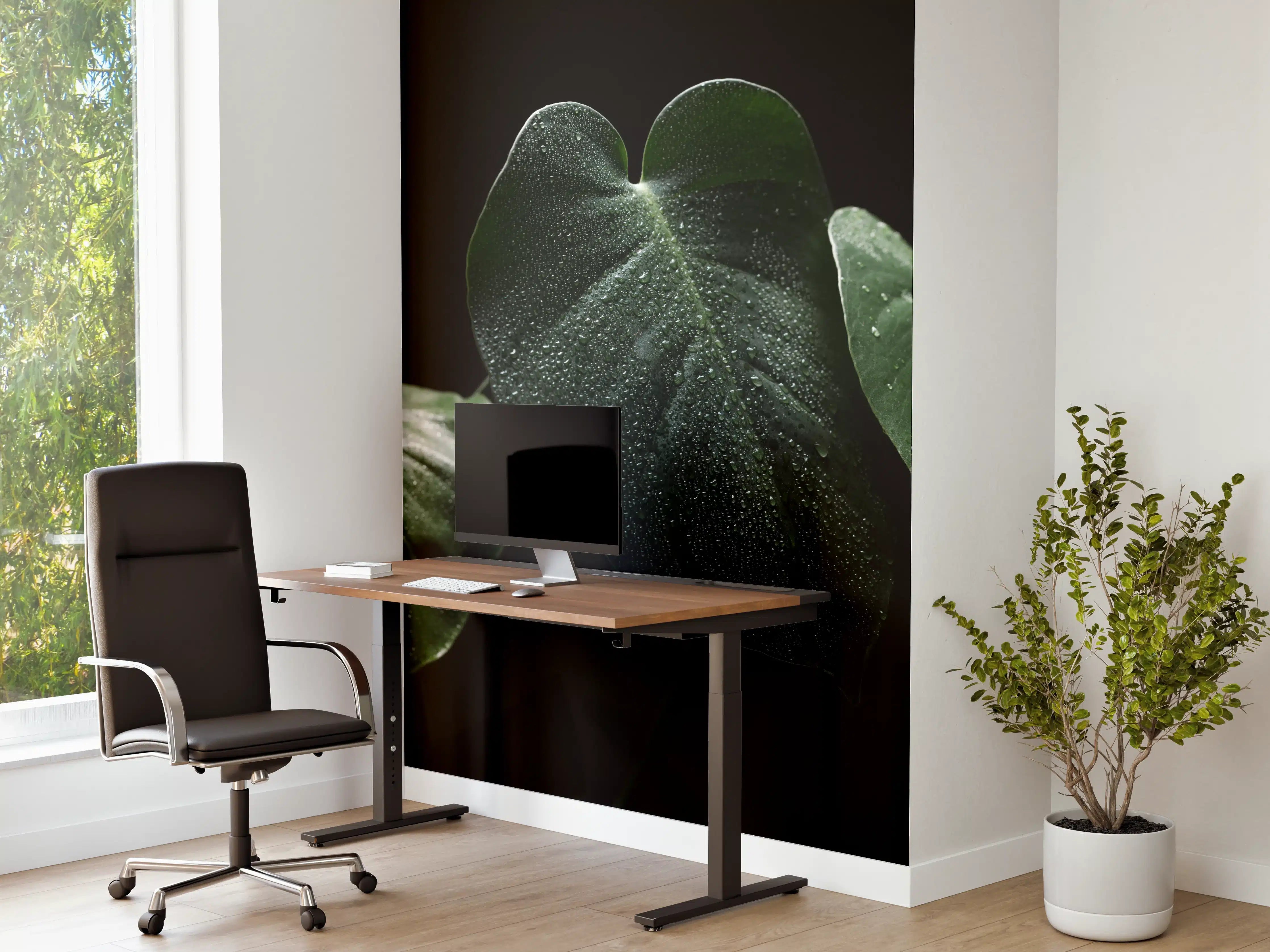 Büro Wandgestaltung - Feuchtes Blatt auf schwarzem Hintergrund