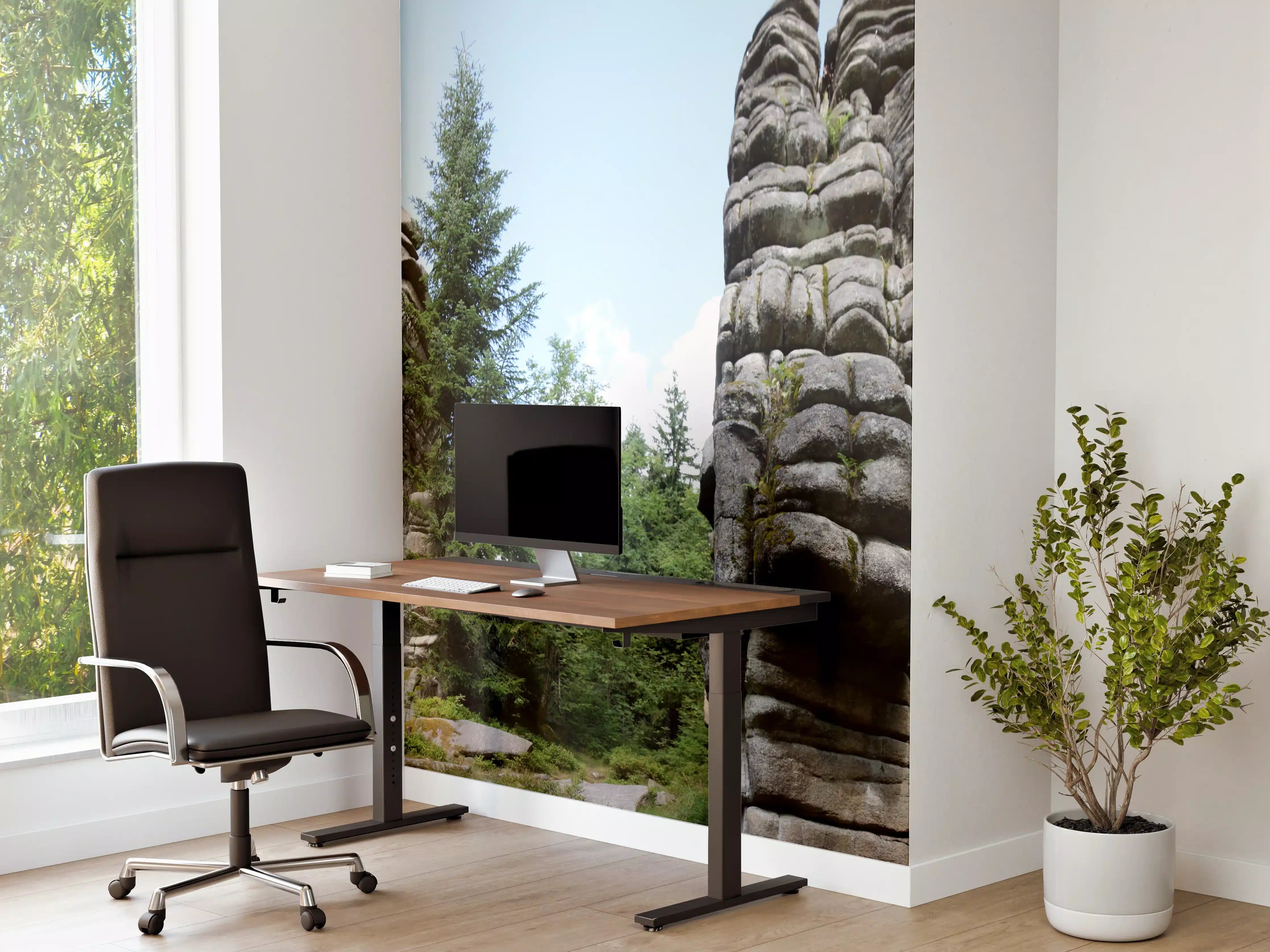 Büro Wandgestaltung - Fichtelgebirge - Drei Brüder