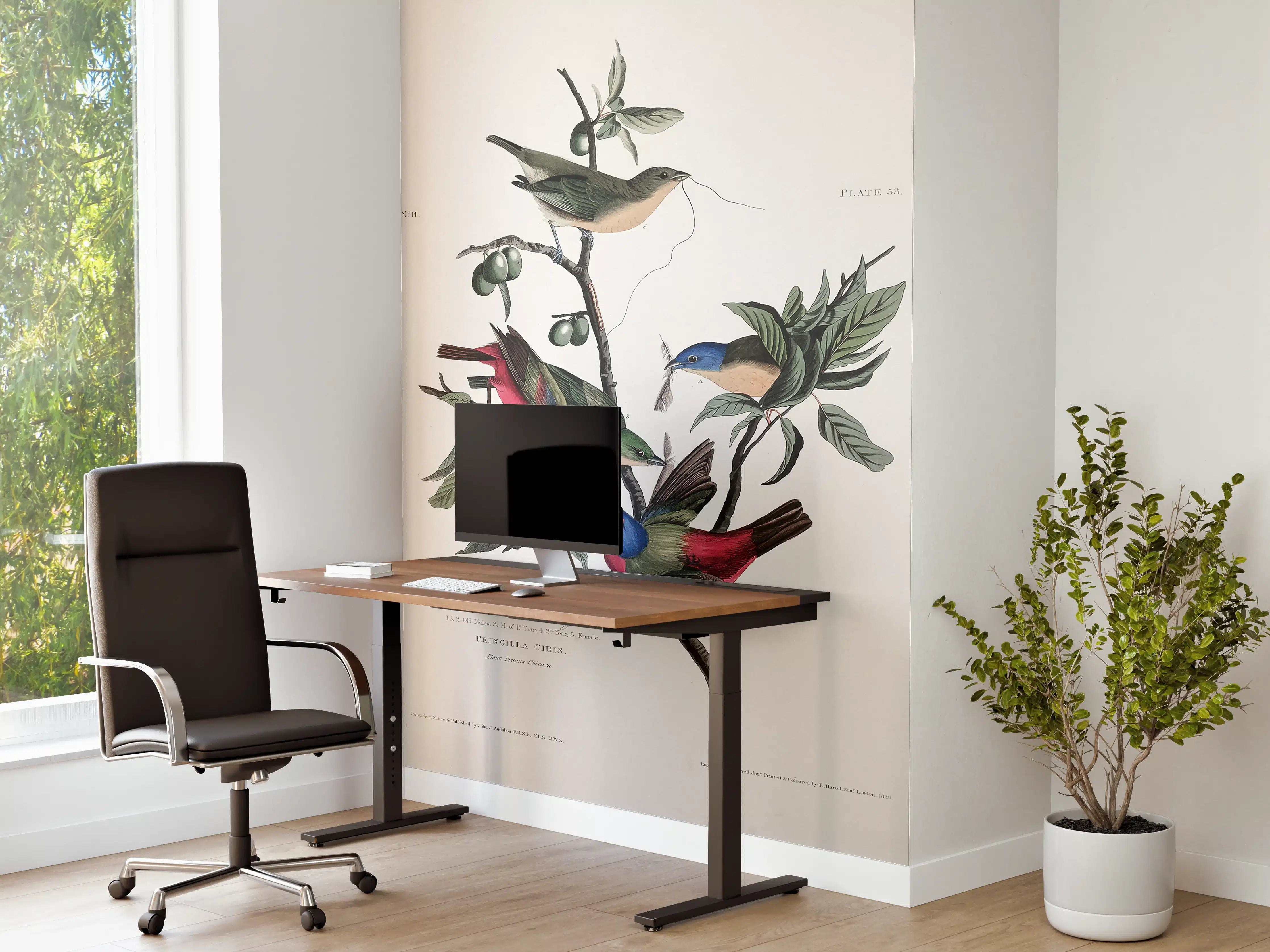 Büro Wandgestaltung - Fink Portrait - John James Audubon
