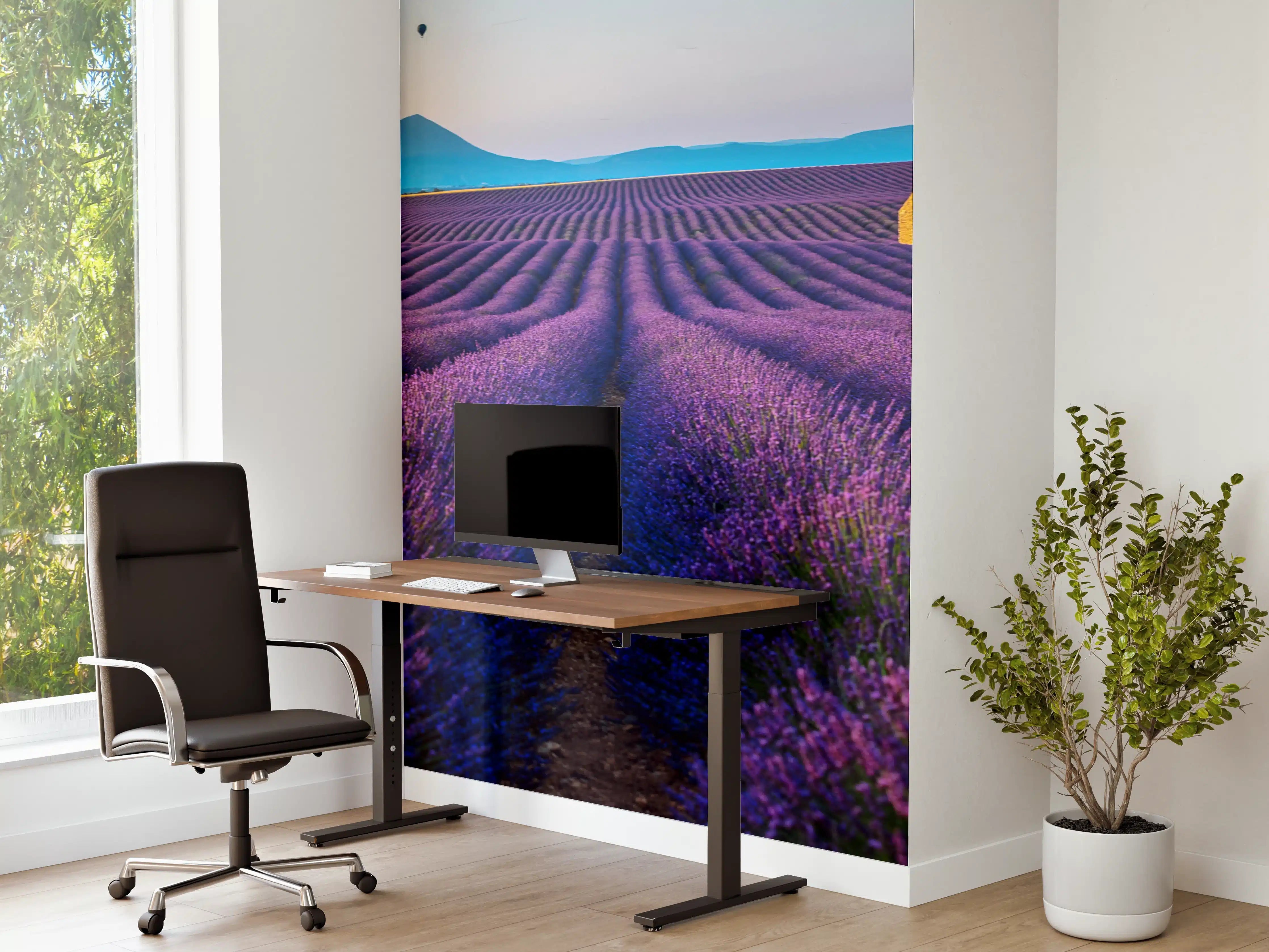 Büro Wandgestaltung - Französische Lavendelfelder