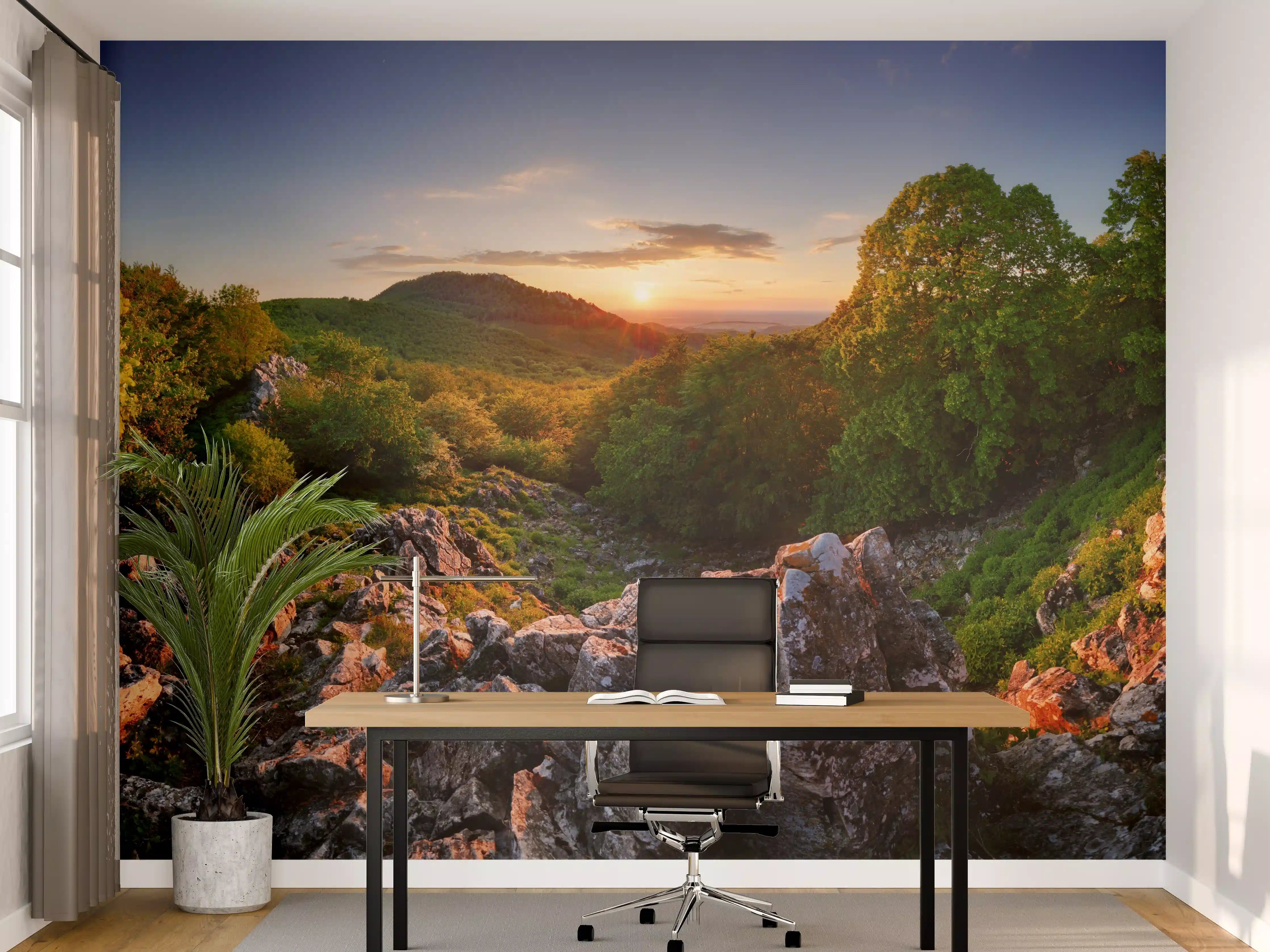 Büro Wandgestaltung - Freie Waldnaturlandschaft in der Slowakei