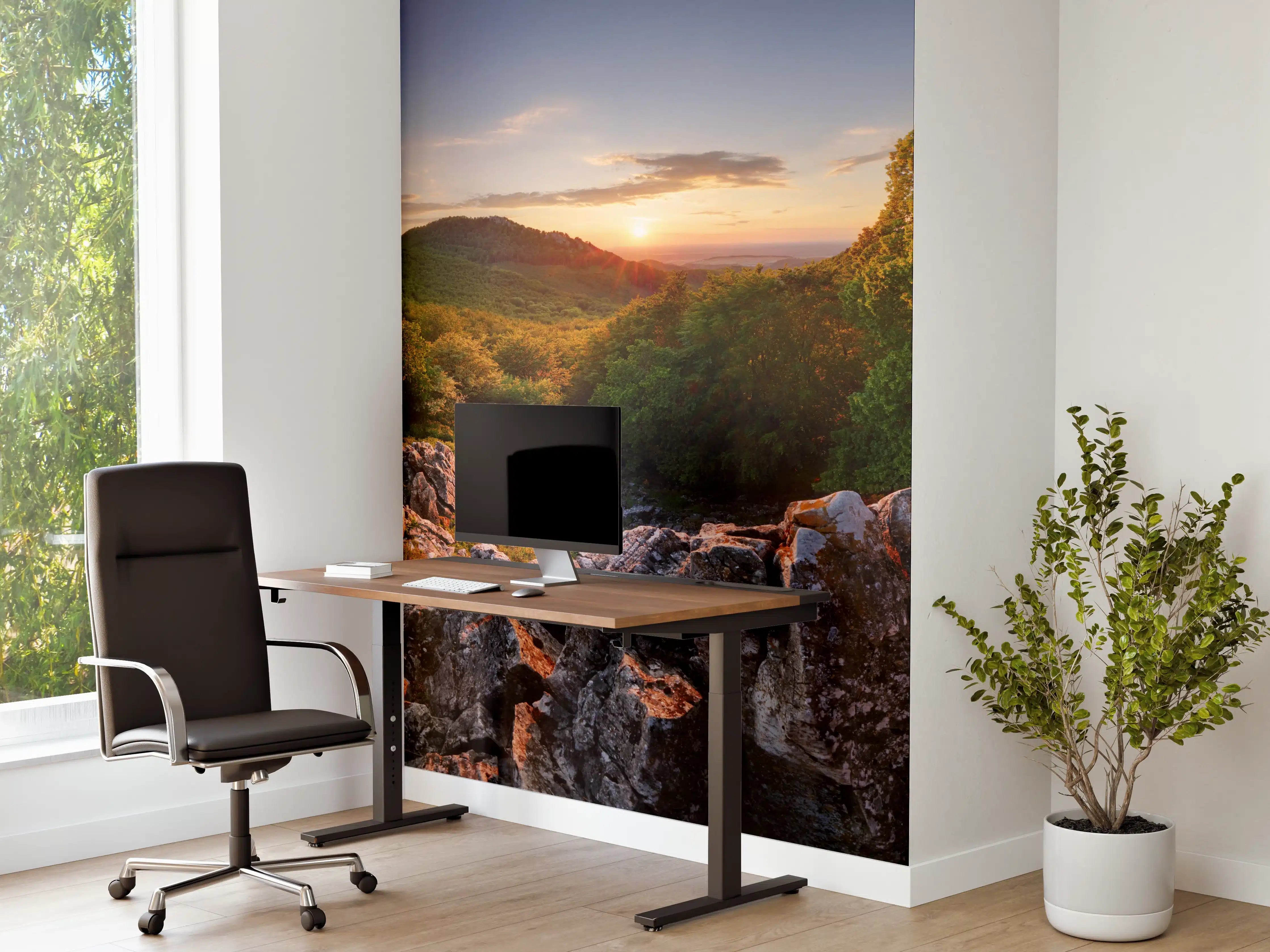 Büro Wandgestaltung - Freie Waldnaturlandschaft in der Slowakei