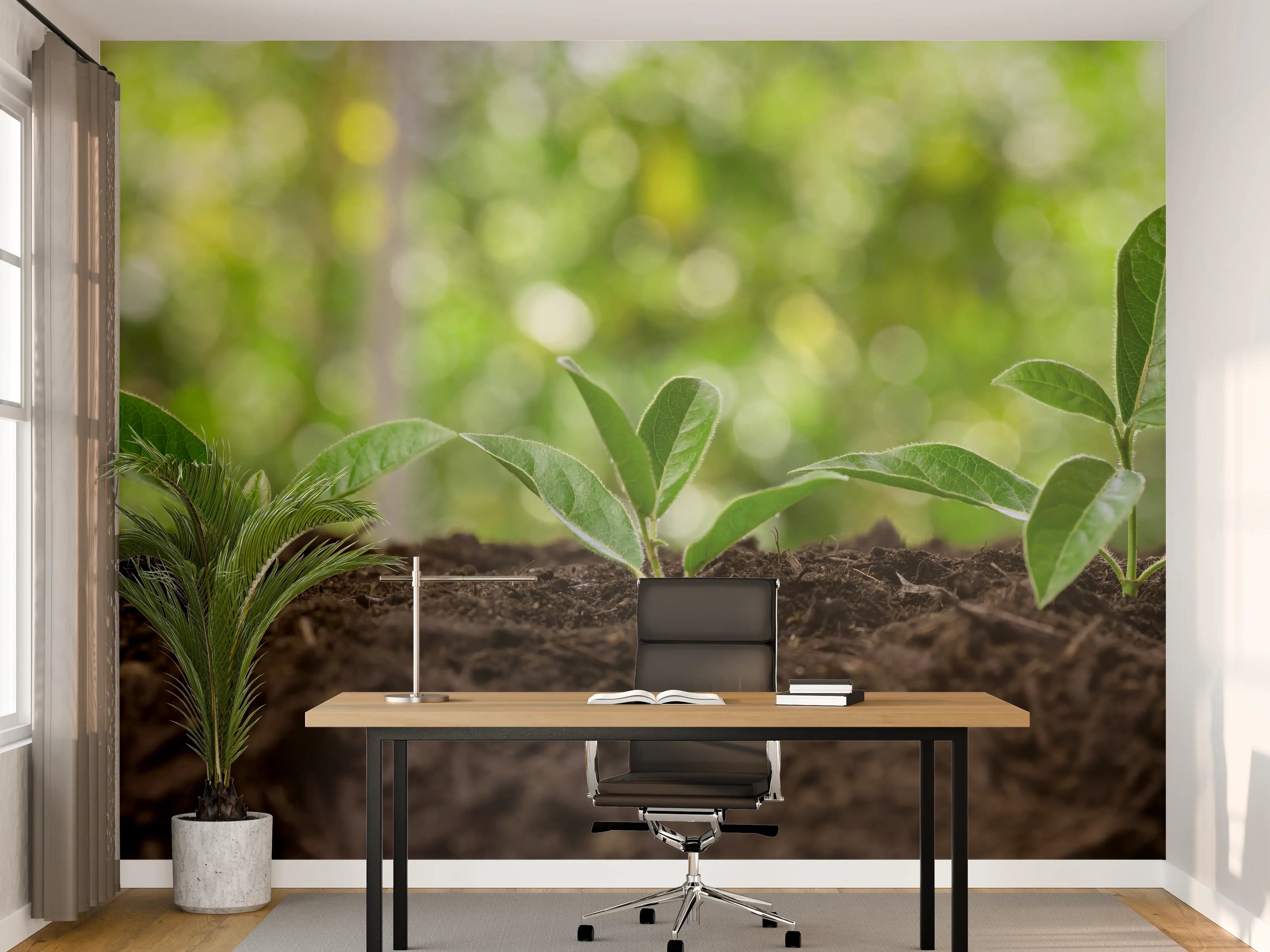 Büro Wandgestaltung - Frisch Sprießende Setzlinge