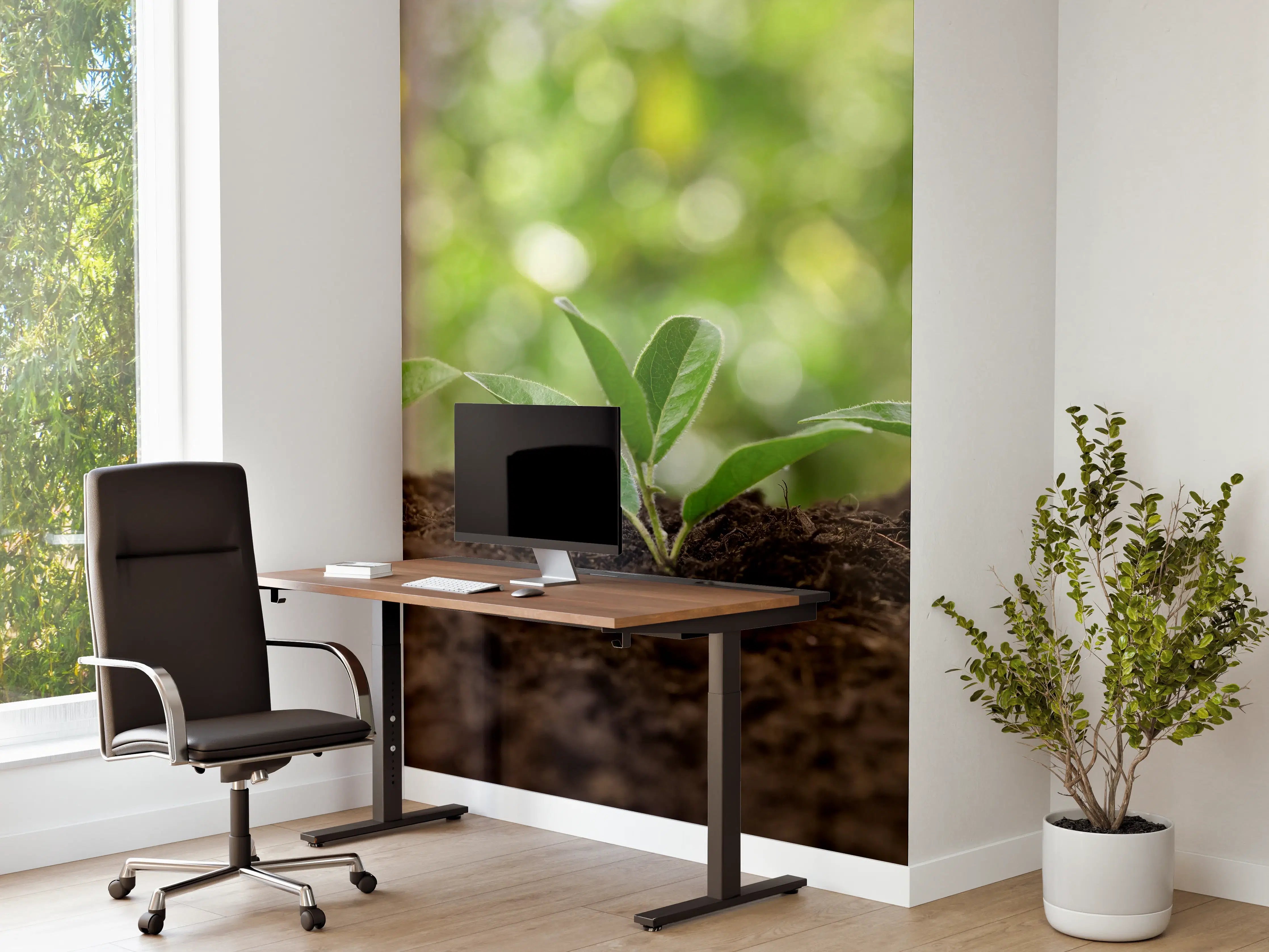 Büro Wandgestaltung - Frisch Sprießende Setzlinge