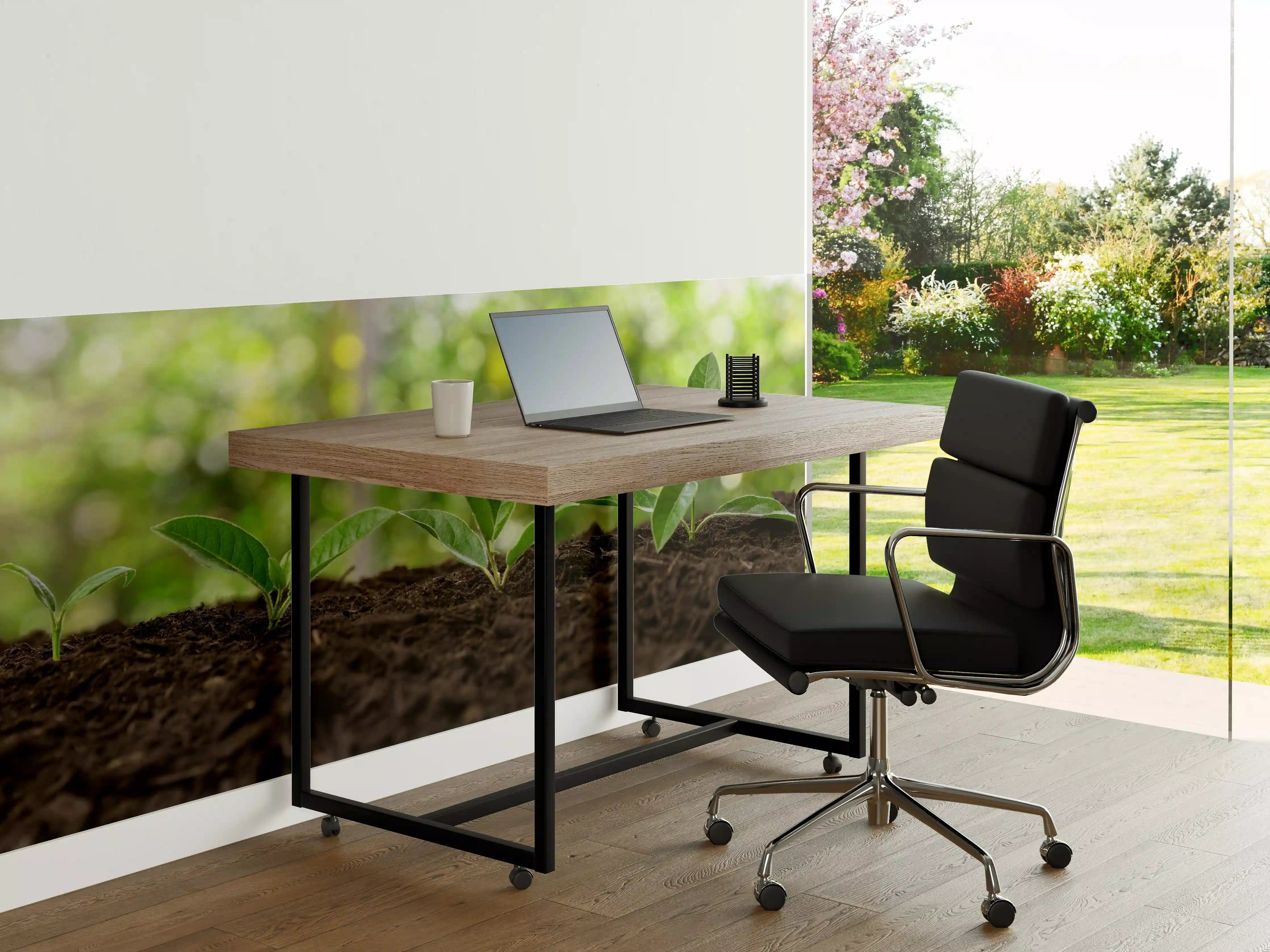 Büro Wandgestaltung - Frisch Sprießende Setzlinge