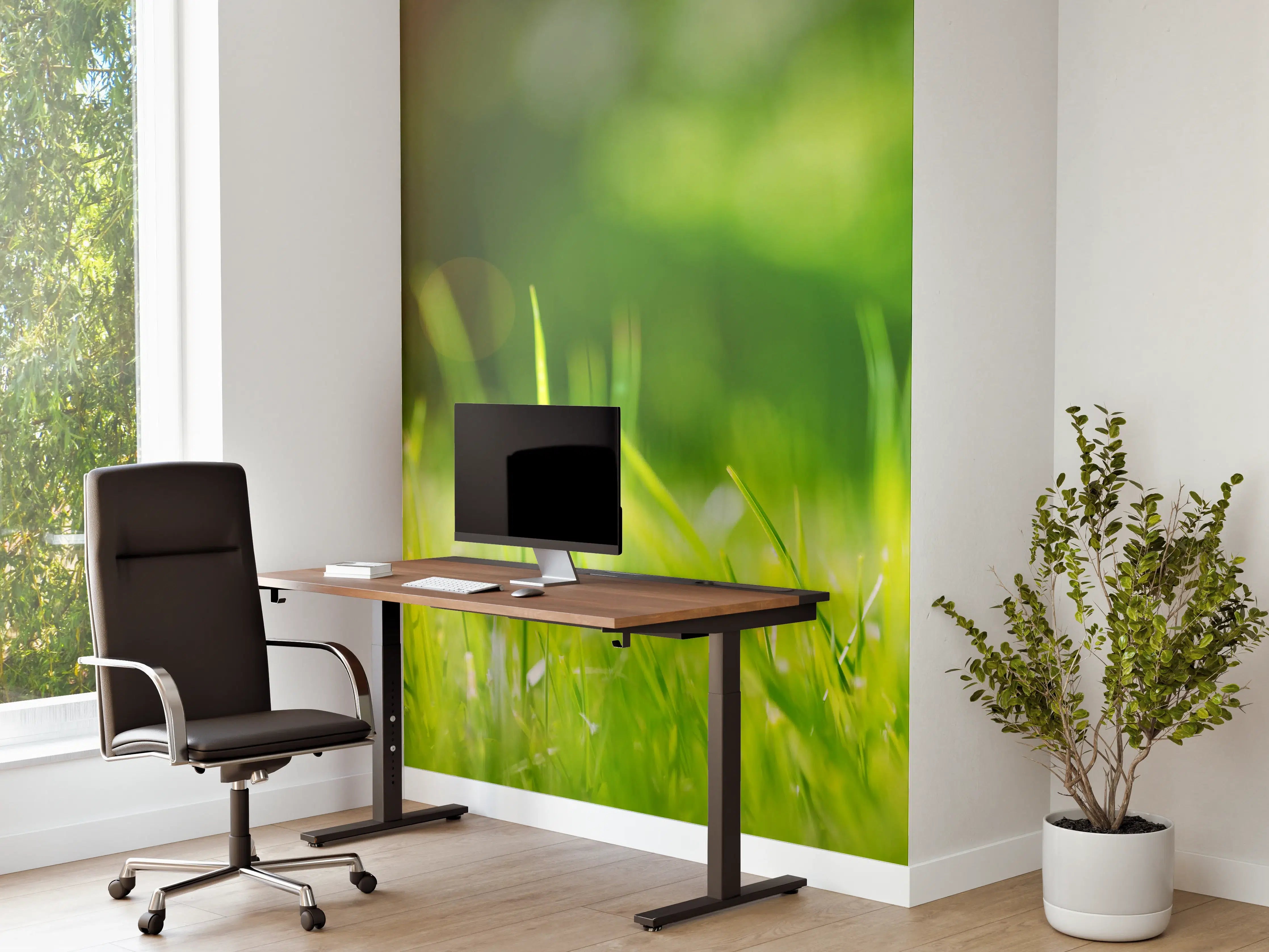 Büro Wandgestaltung - Frisches grünes Gras