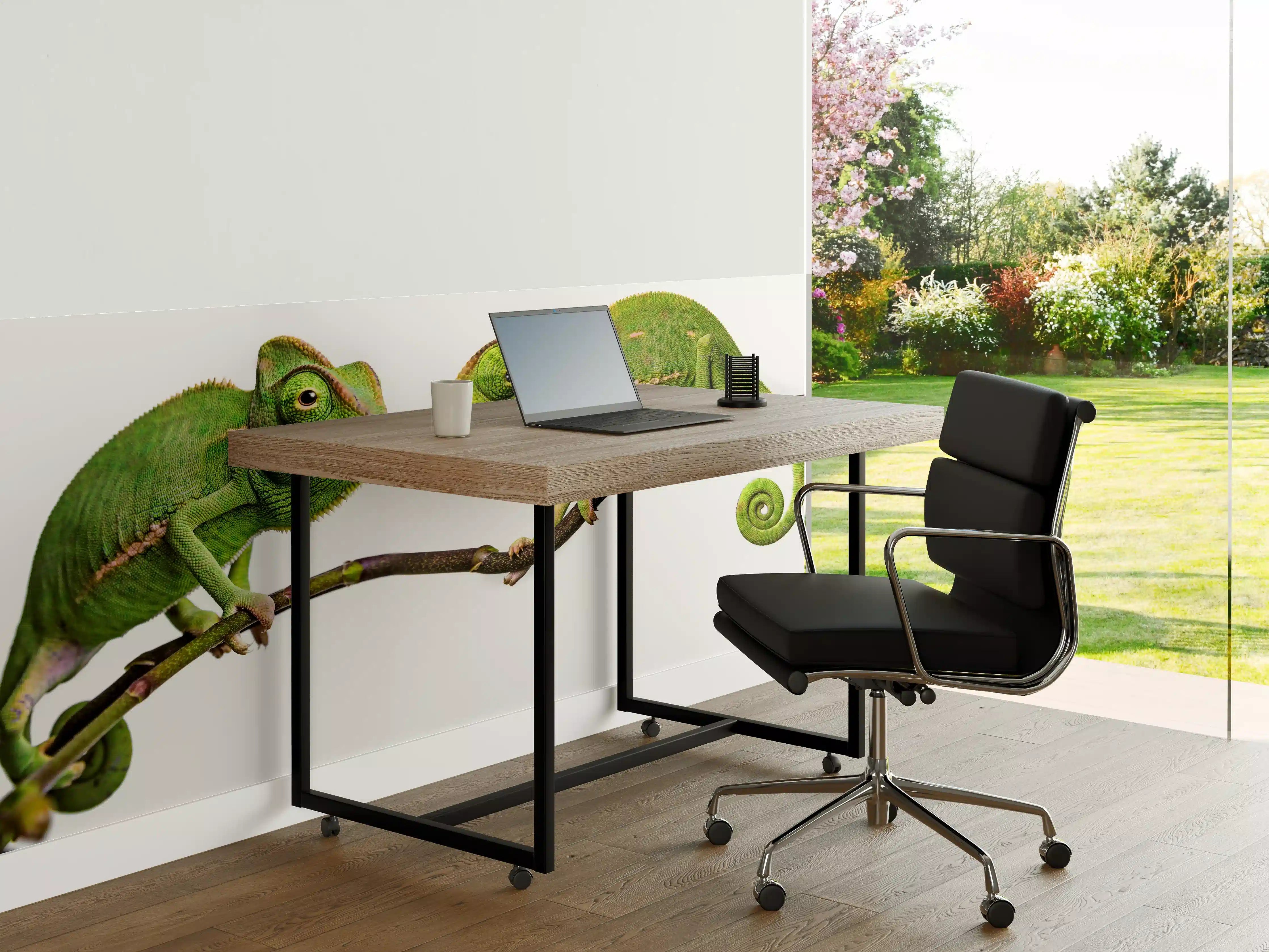 Büro Wandgestaltung - Fröhliche Chamäleons