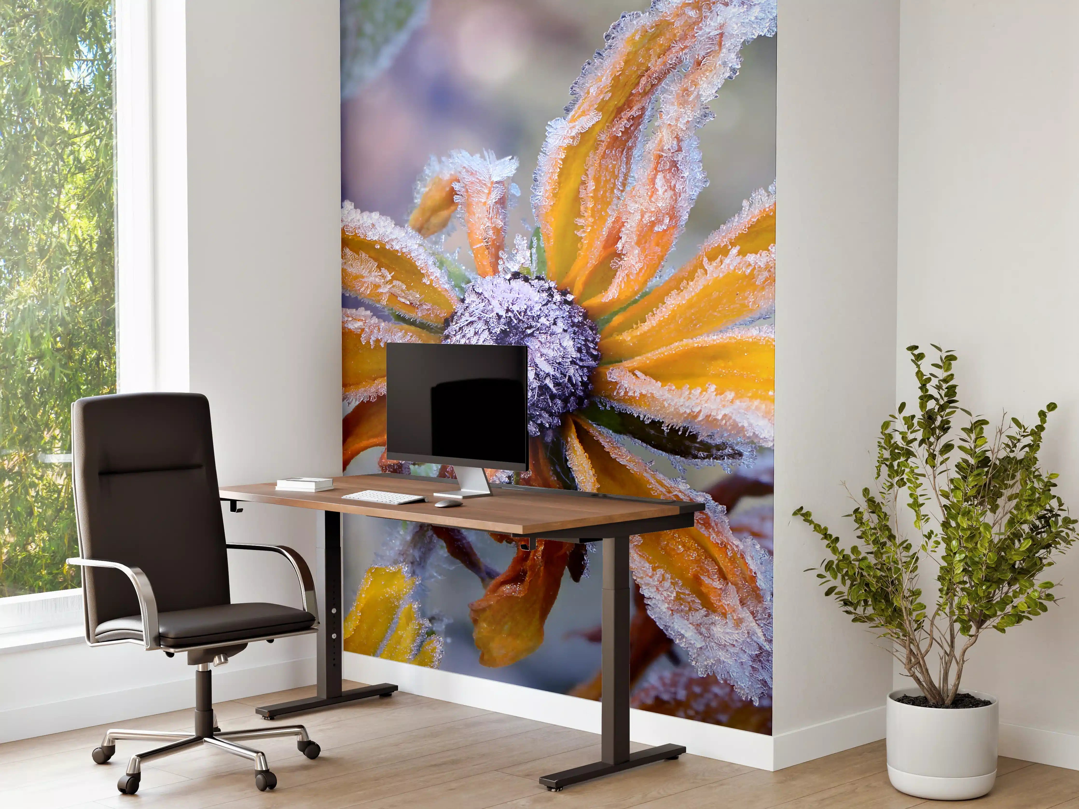 Büro Wandgestaltung - Frostige Blumen im Morgenlicht