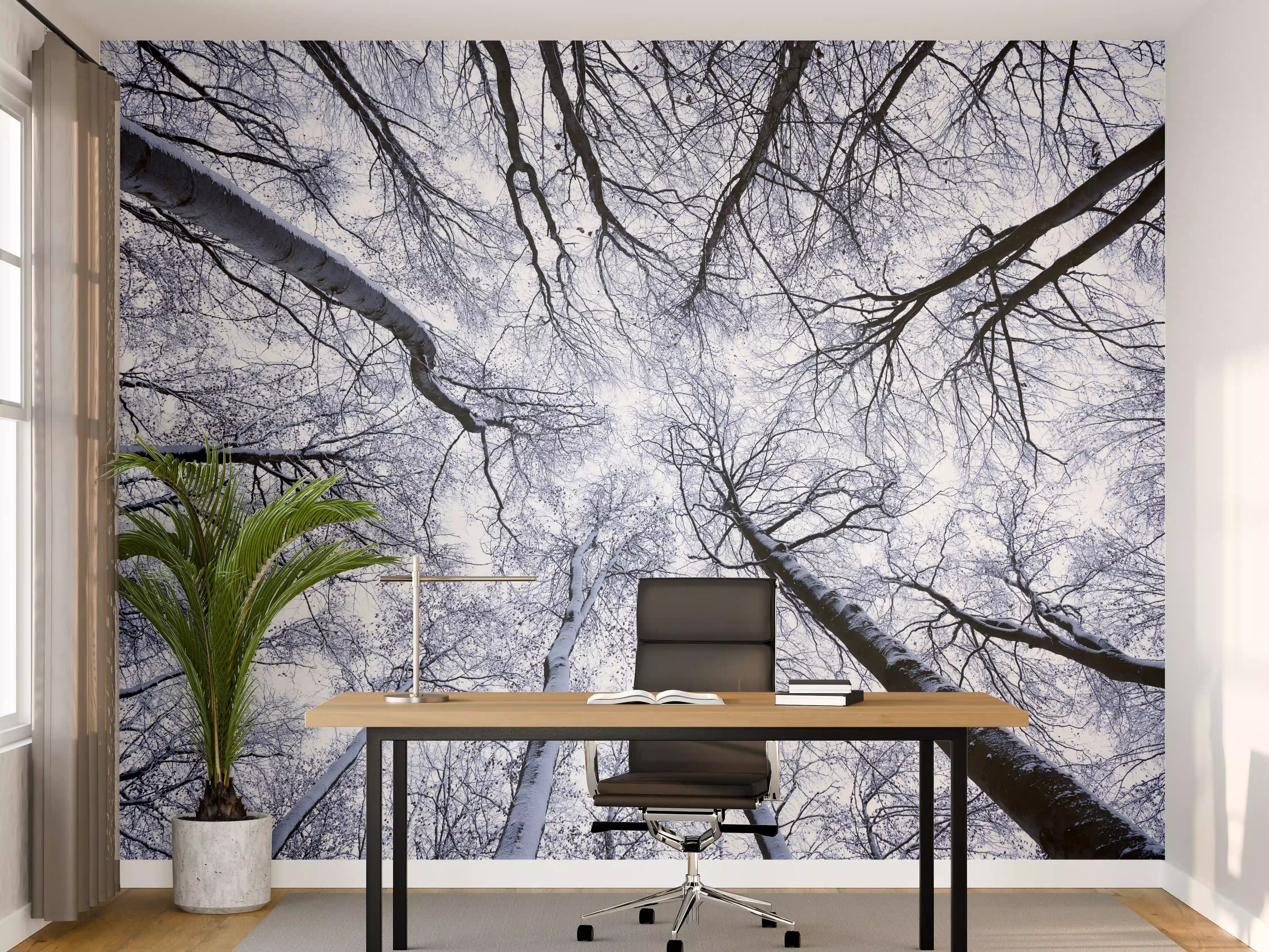 Büro Wandgestaltung - Frostiger Wald