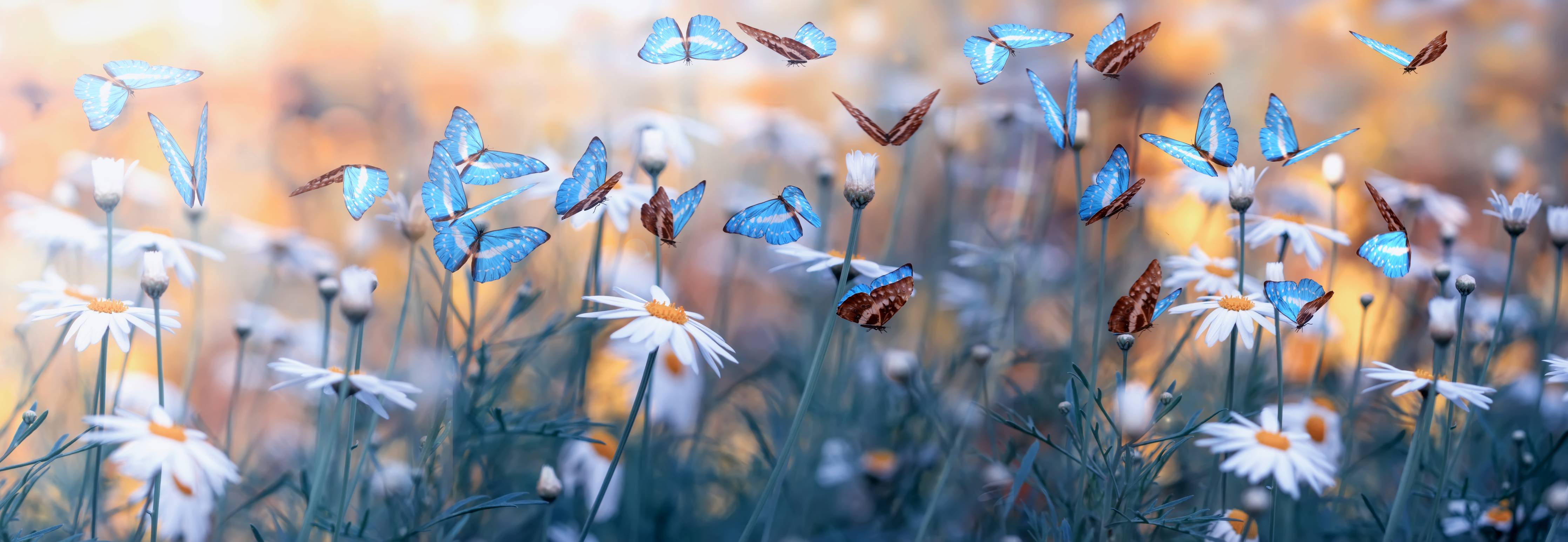 Büro Wandgestaltung-Frühling Naturlandschaft mit wilden Blumen