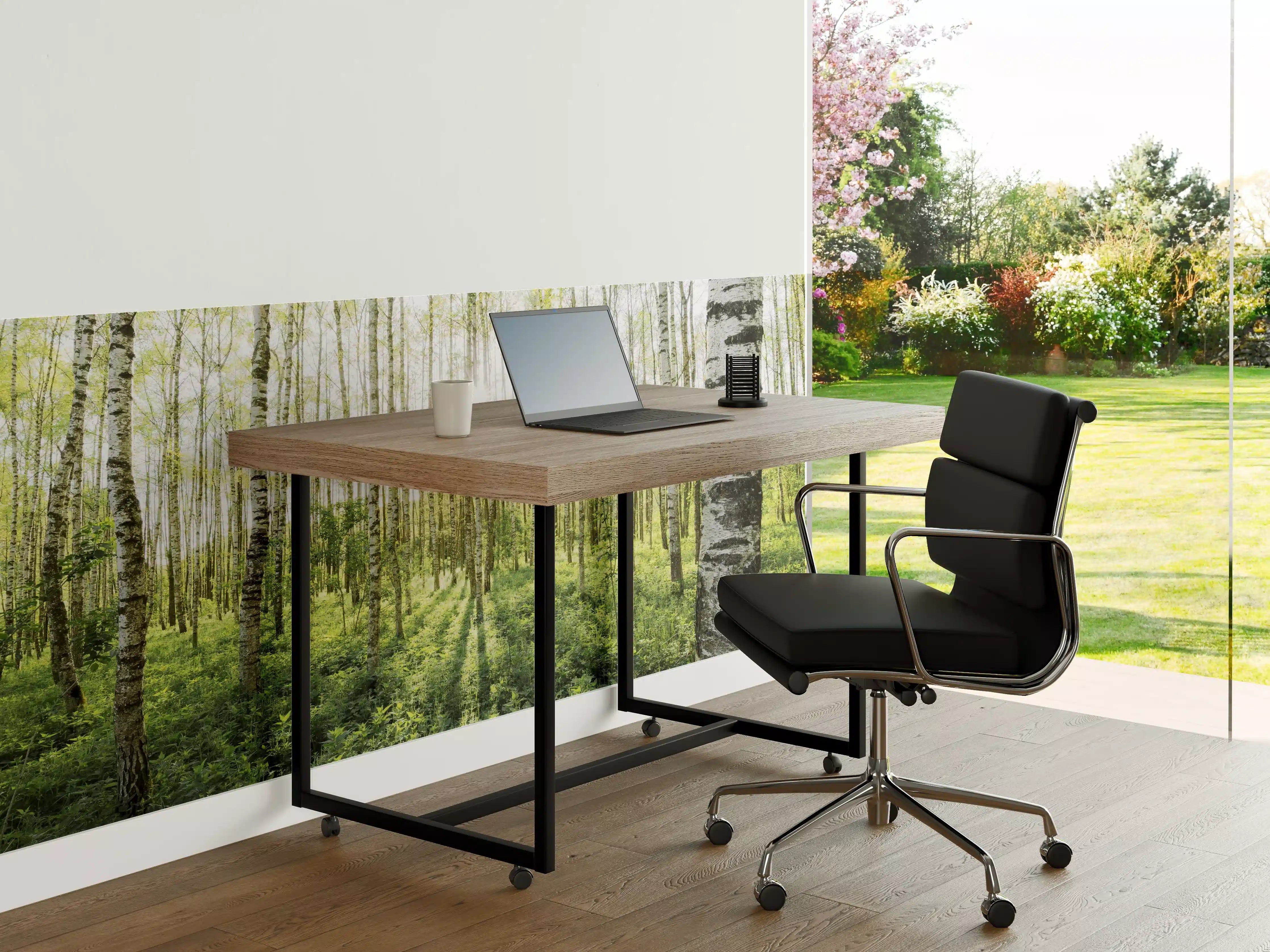 Büro Wandgestaltung - Frühlings-Birkenwald Lichtspiel