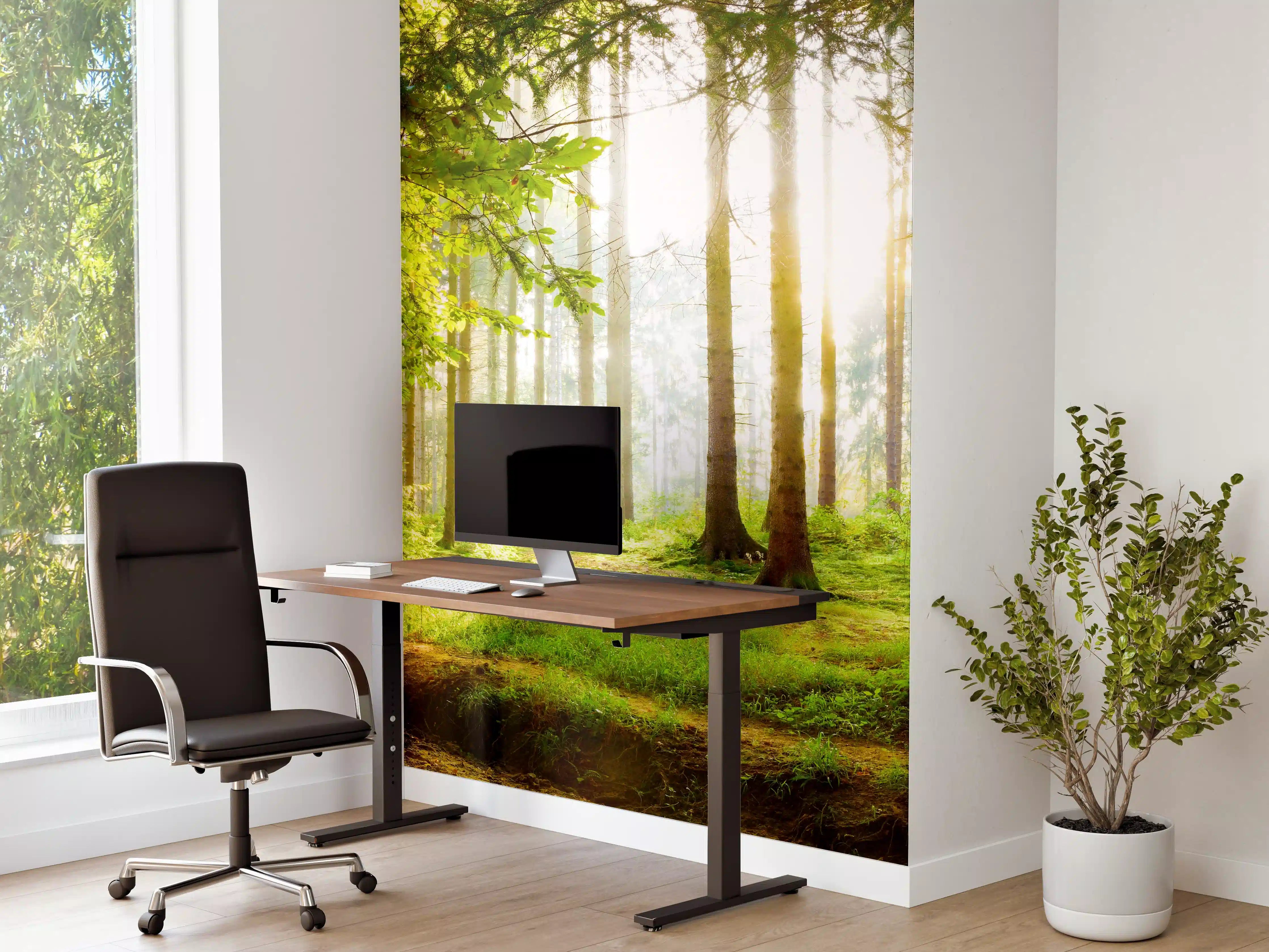 Büro Wandgestaltung - Frühlingswald mit Sonnenschein