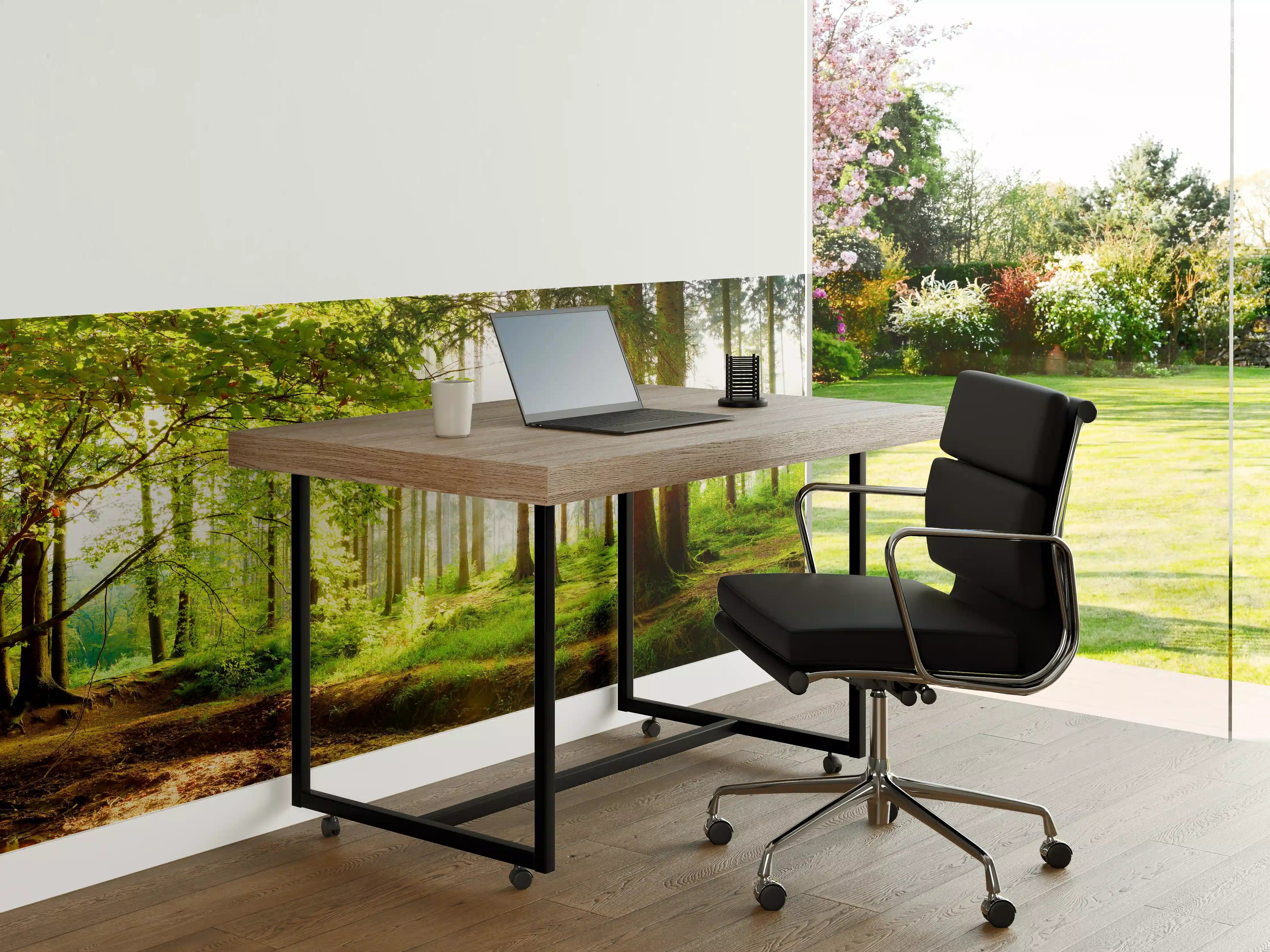Büro Wandgestaltung - Frühlingswald mit Sonnenschein