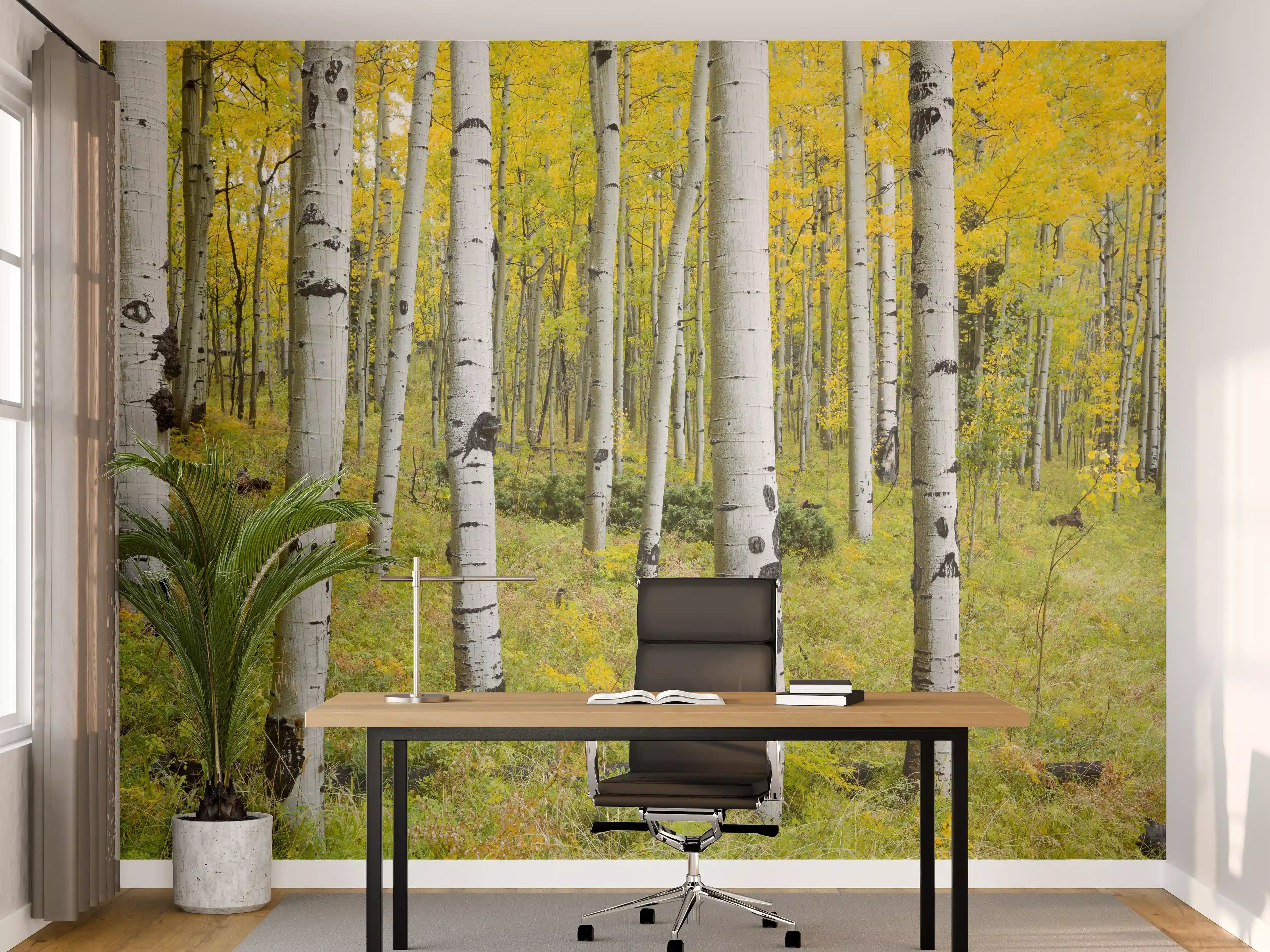 Büro Wandgestaltung - Gelb, grüner Birkenwald