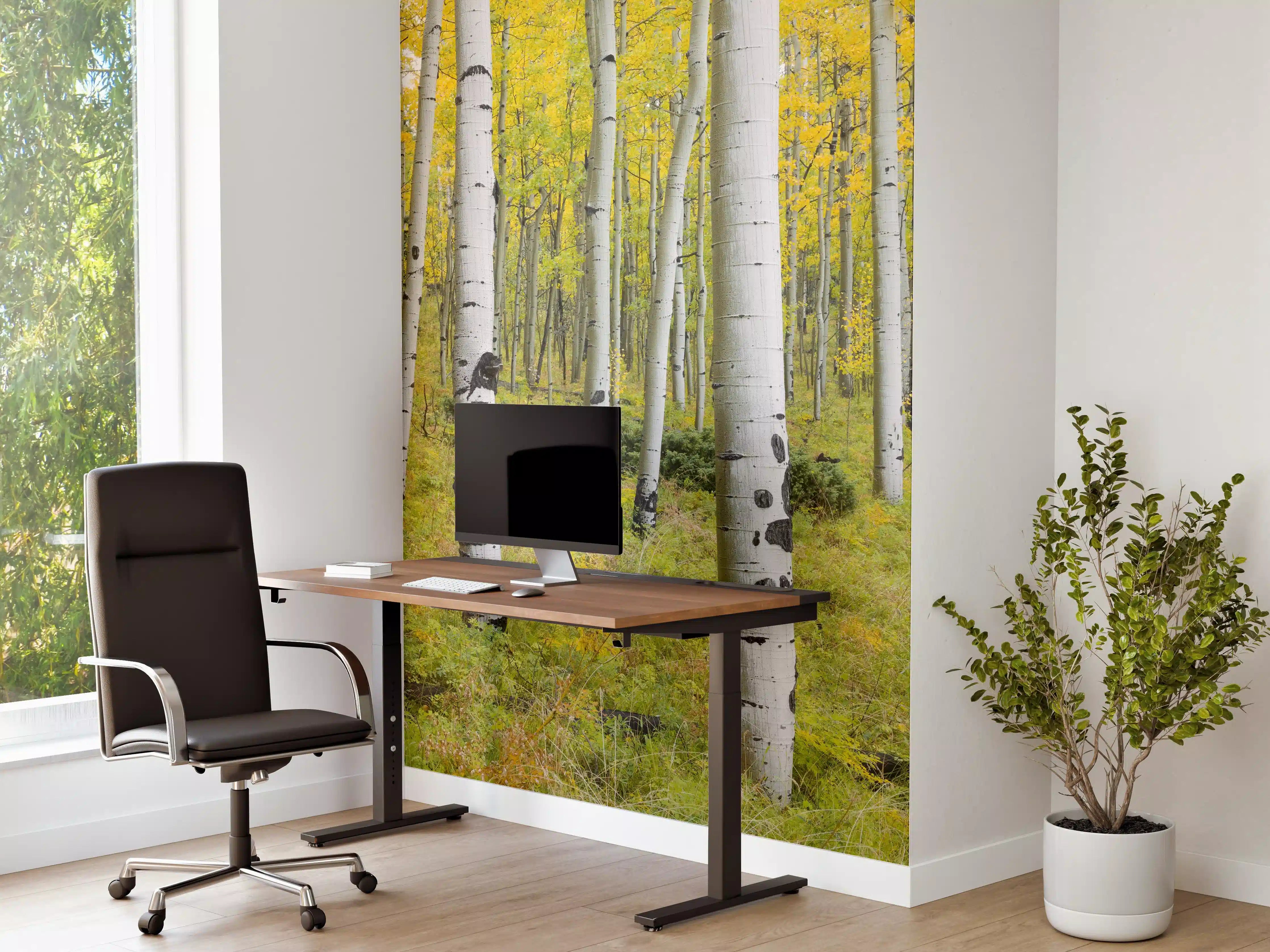 Büro Wandgestaltung - Gelb, grüner Birkenwald