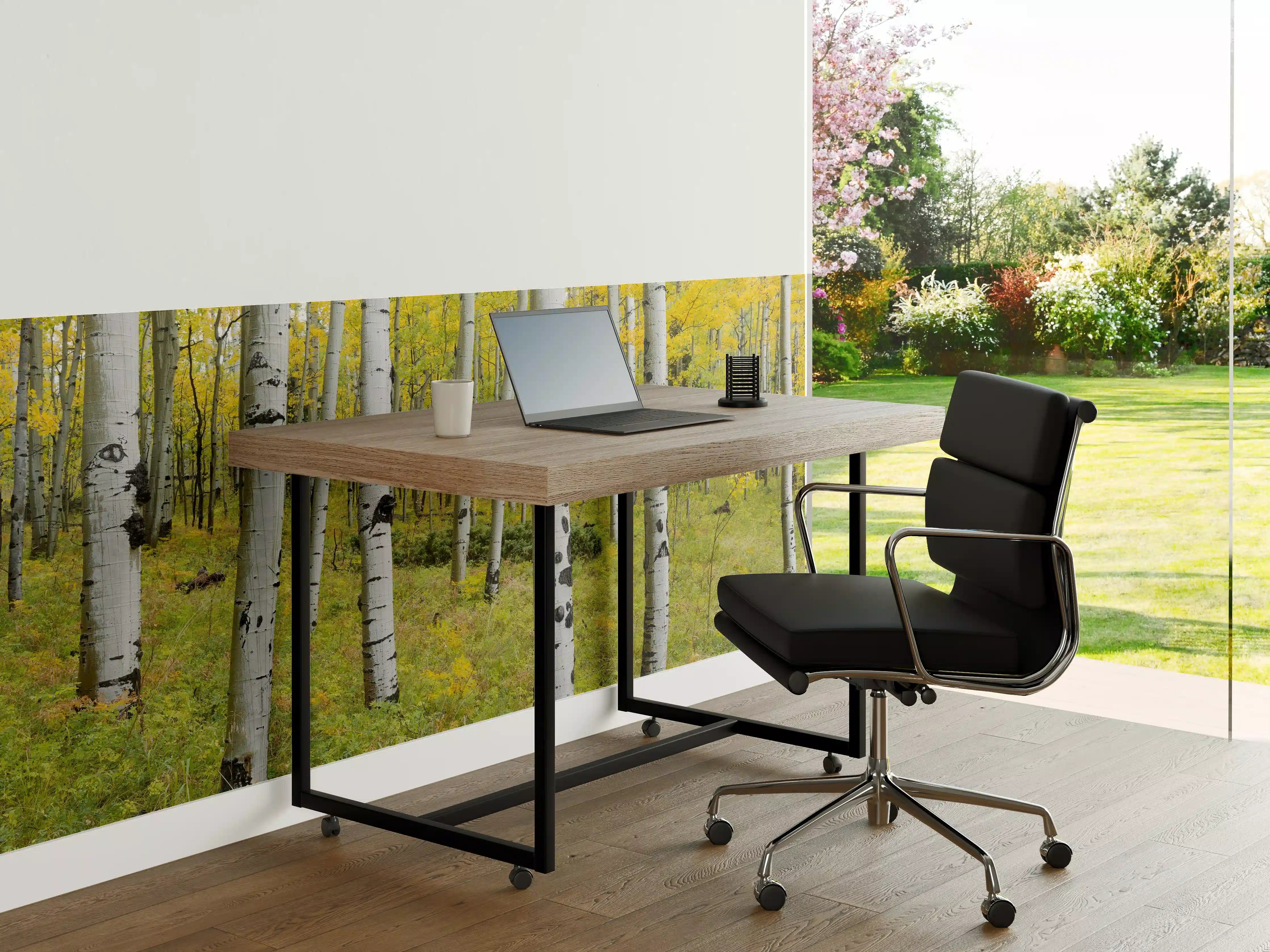 Büro Wandgestaltung - Gelb, grüner Birkenwald