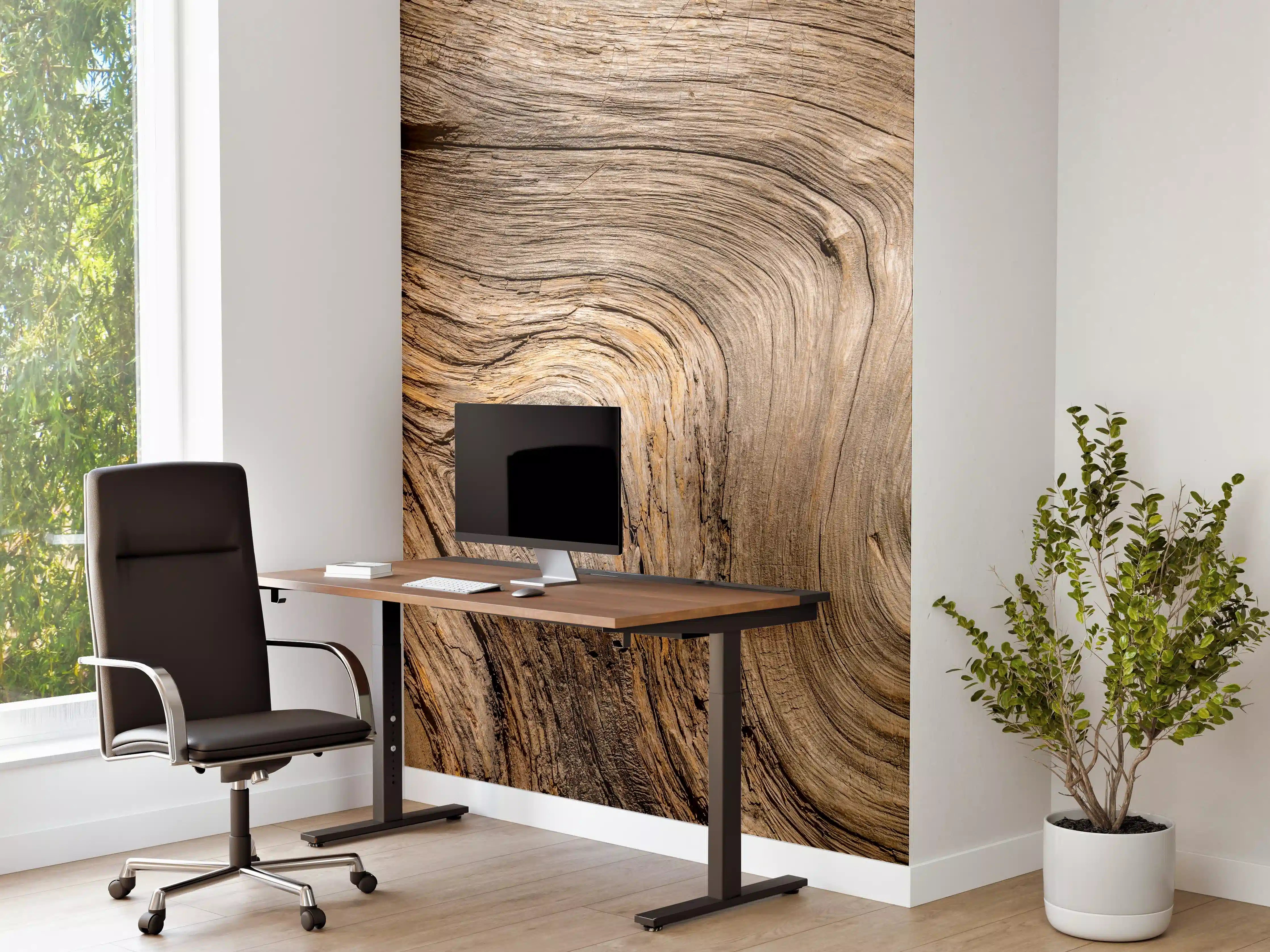 Büro Wandgestaltung - Geschwungenes Naturholz