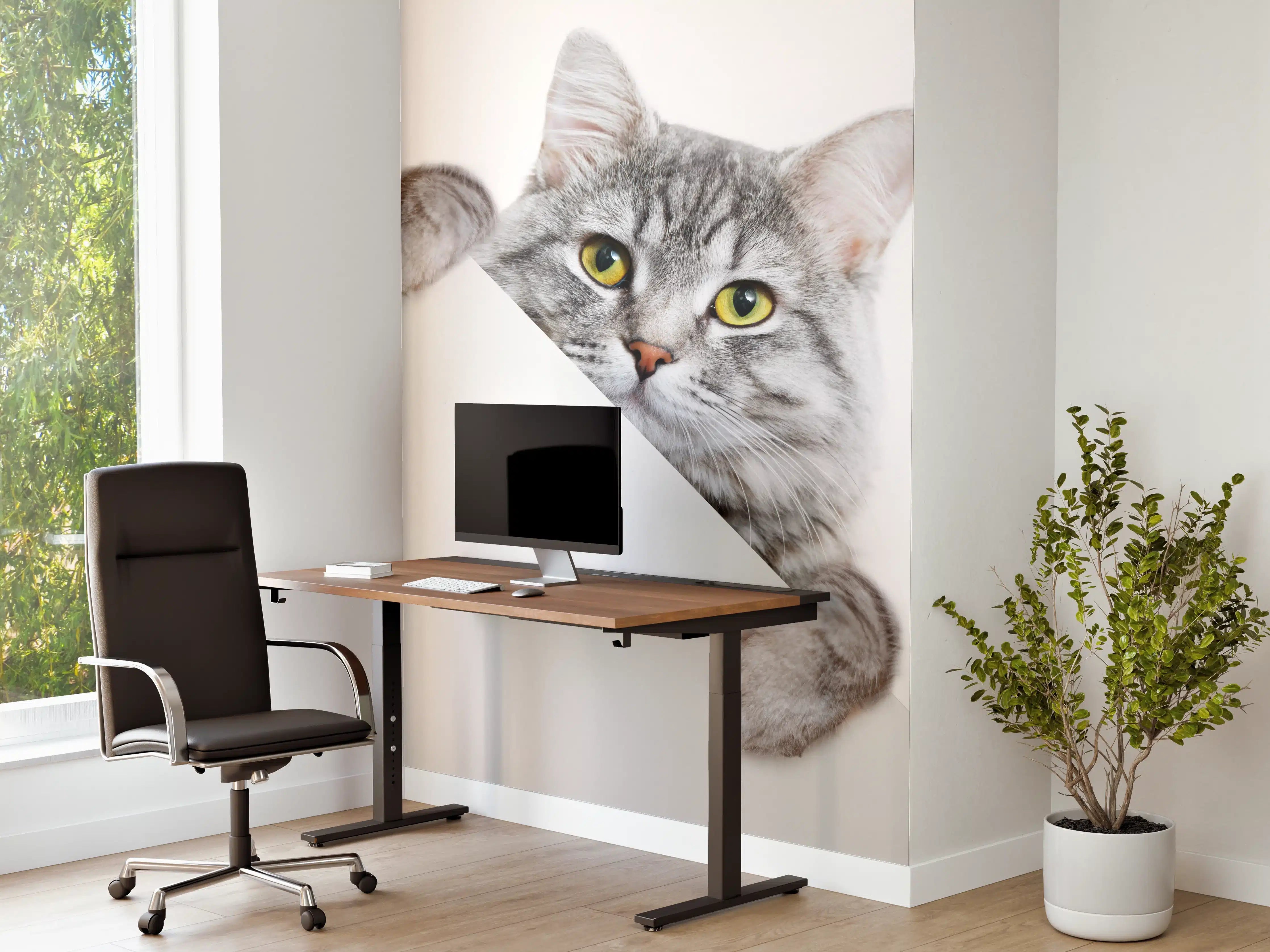 Büro Wandgestaltung - Getigertes Kätzchen