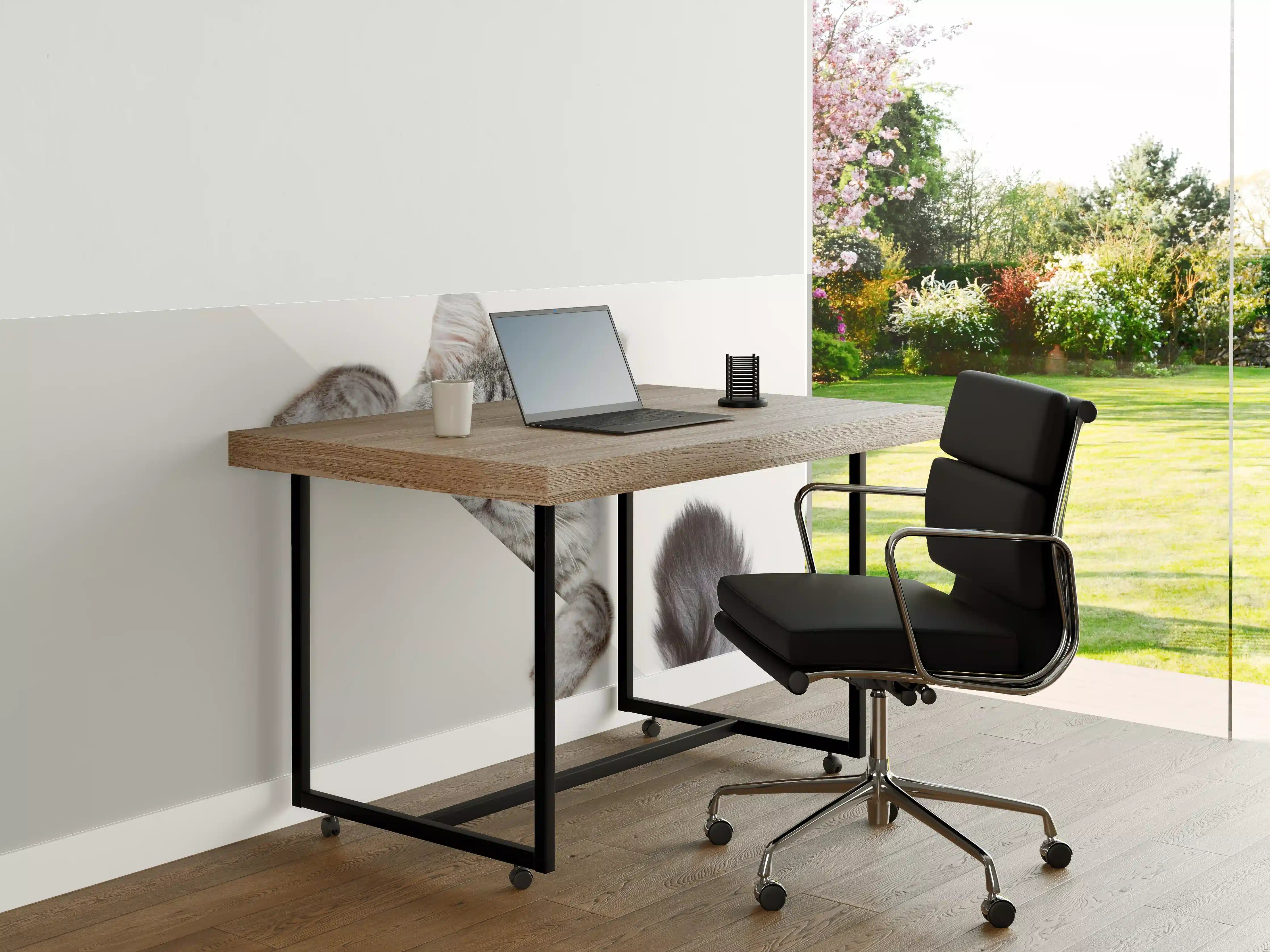 Büro Wandgestaltung - Getigertes Kätzchen