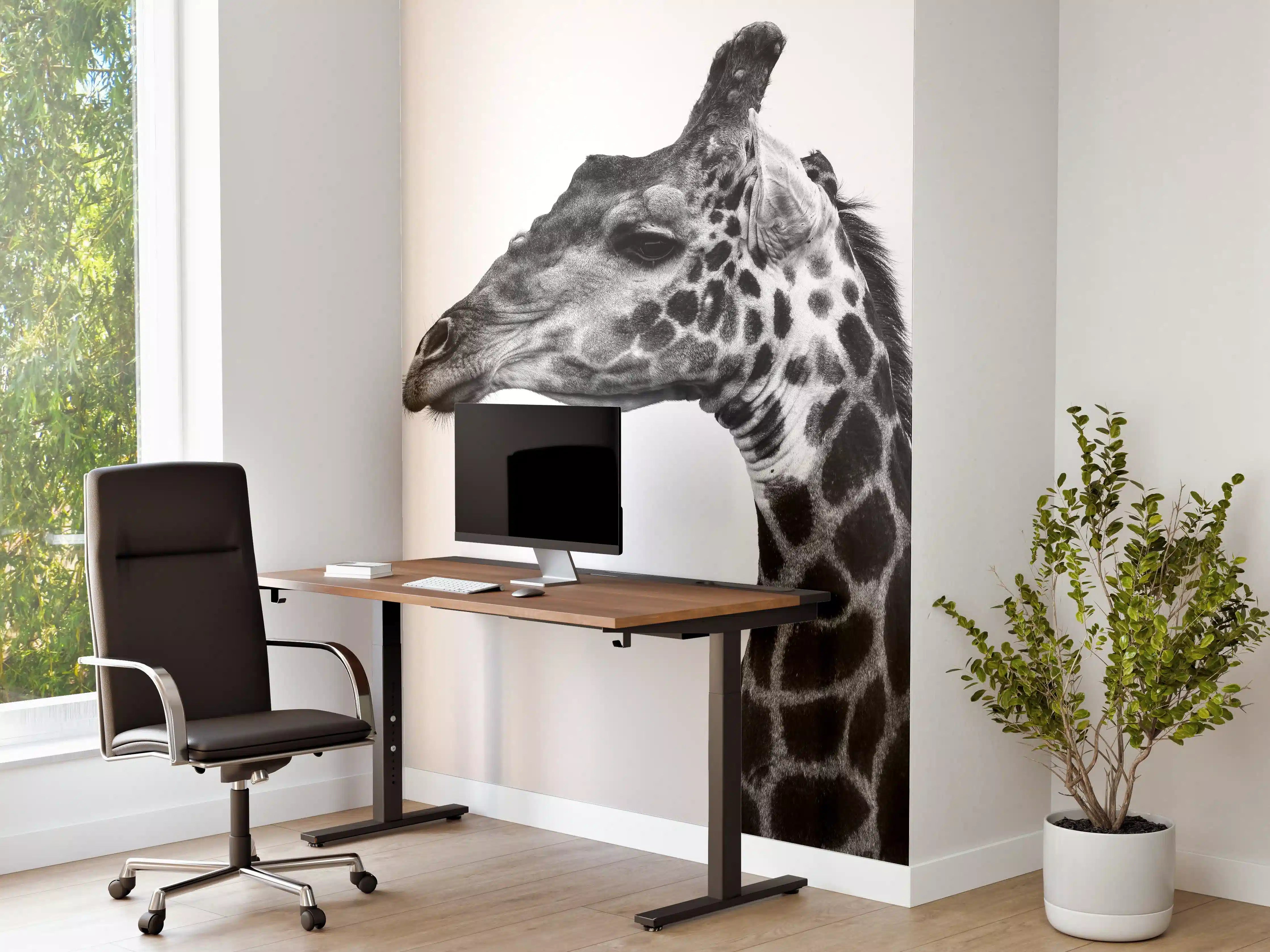Büro Wandgestaltung - Giraffe - schwarz-weiß