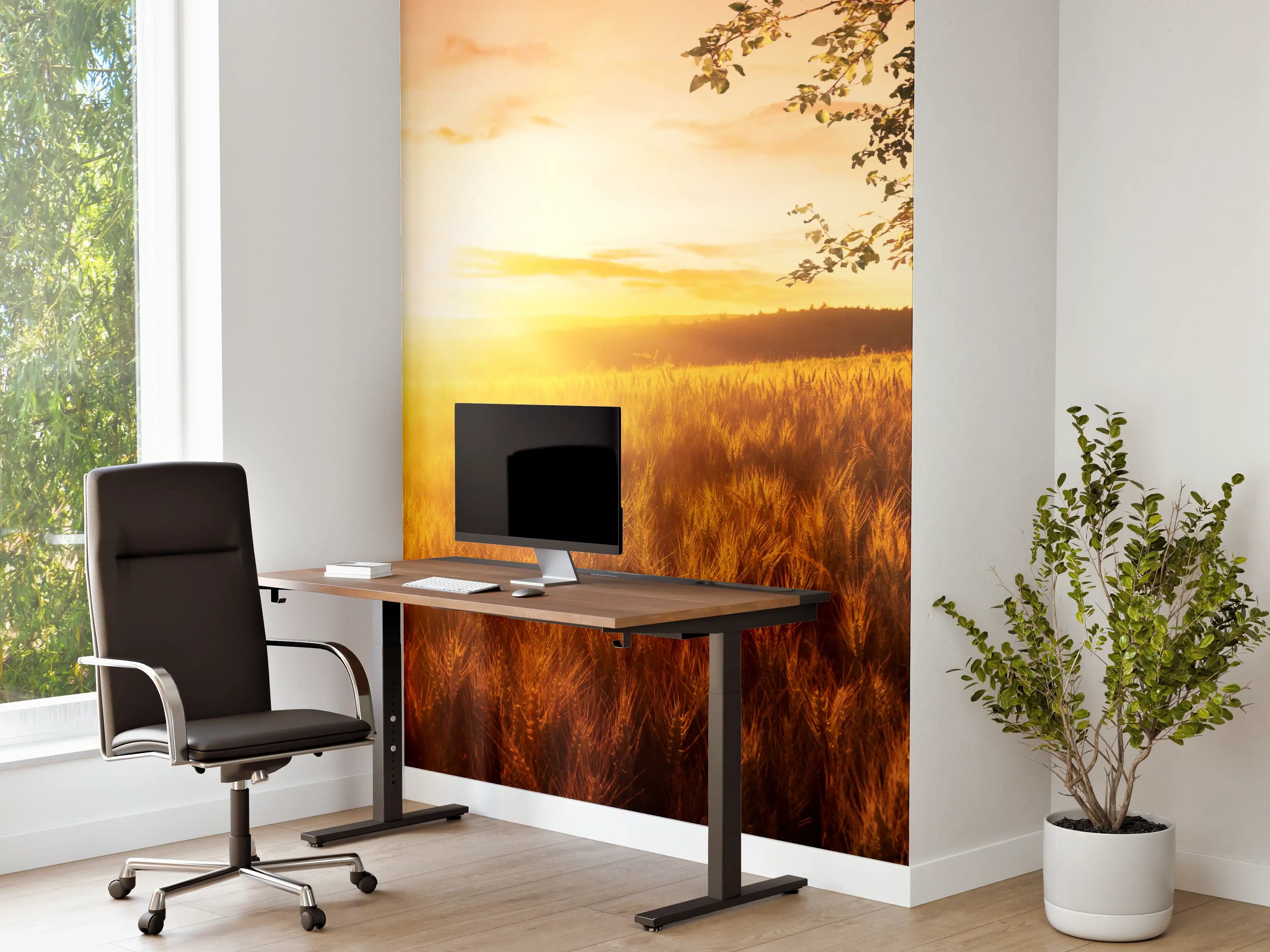 Büro Wandgestaltung - Golden Sunset über Feld mit Baum