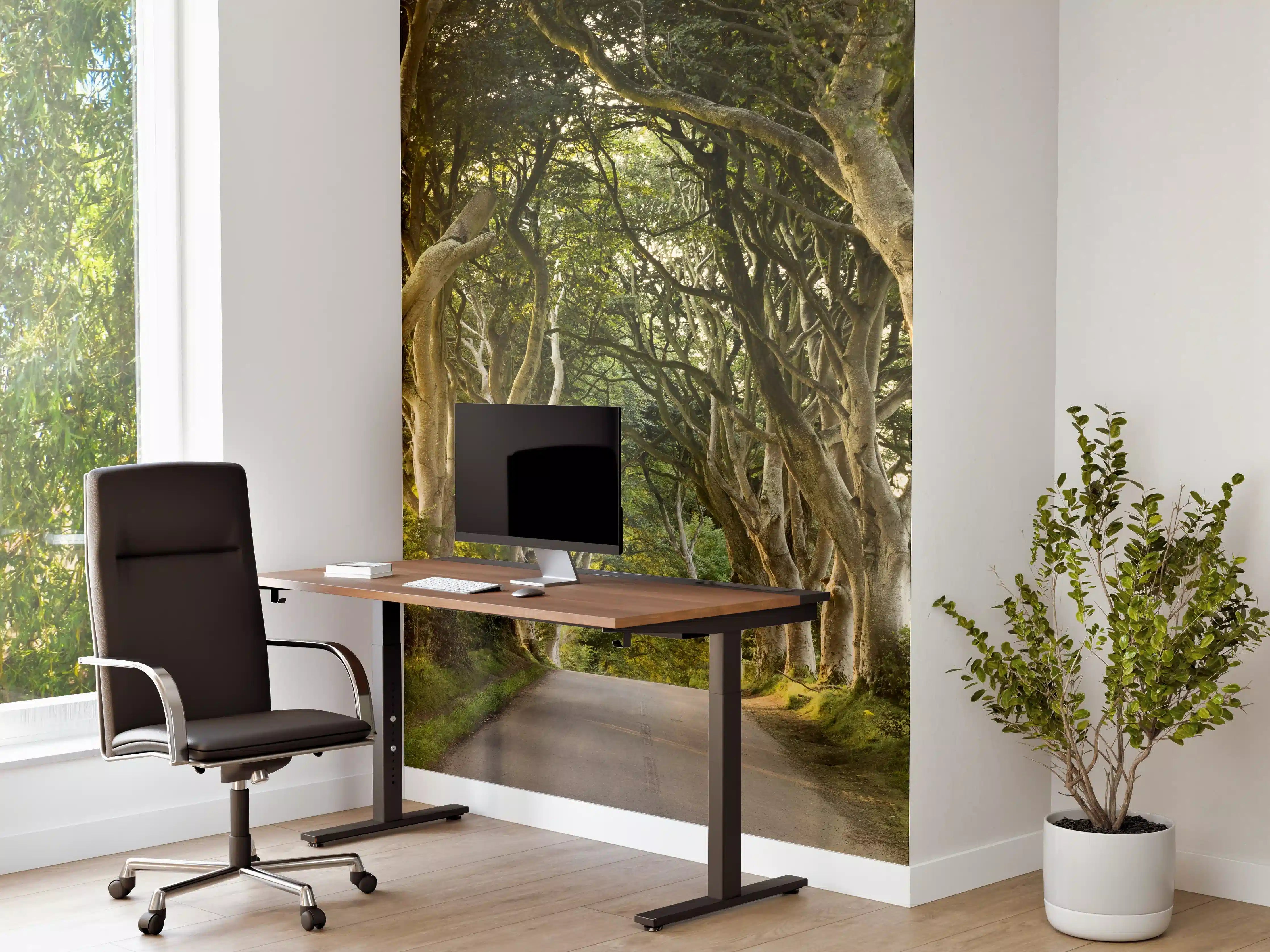 Büro Wandgestaltung - Goldener Weg im Wald