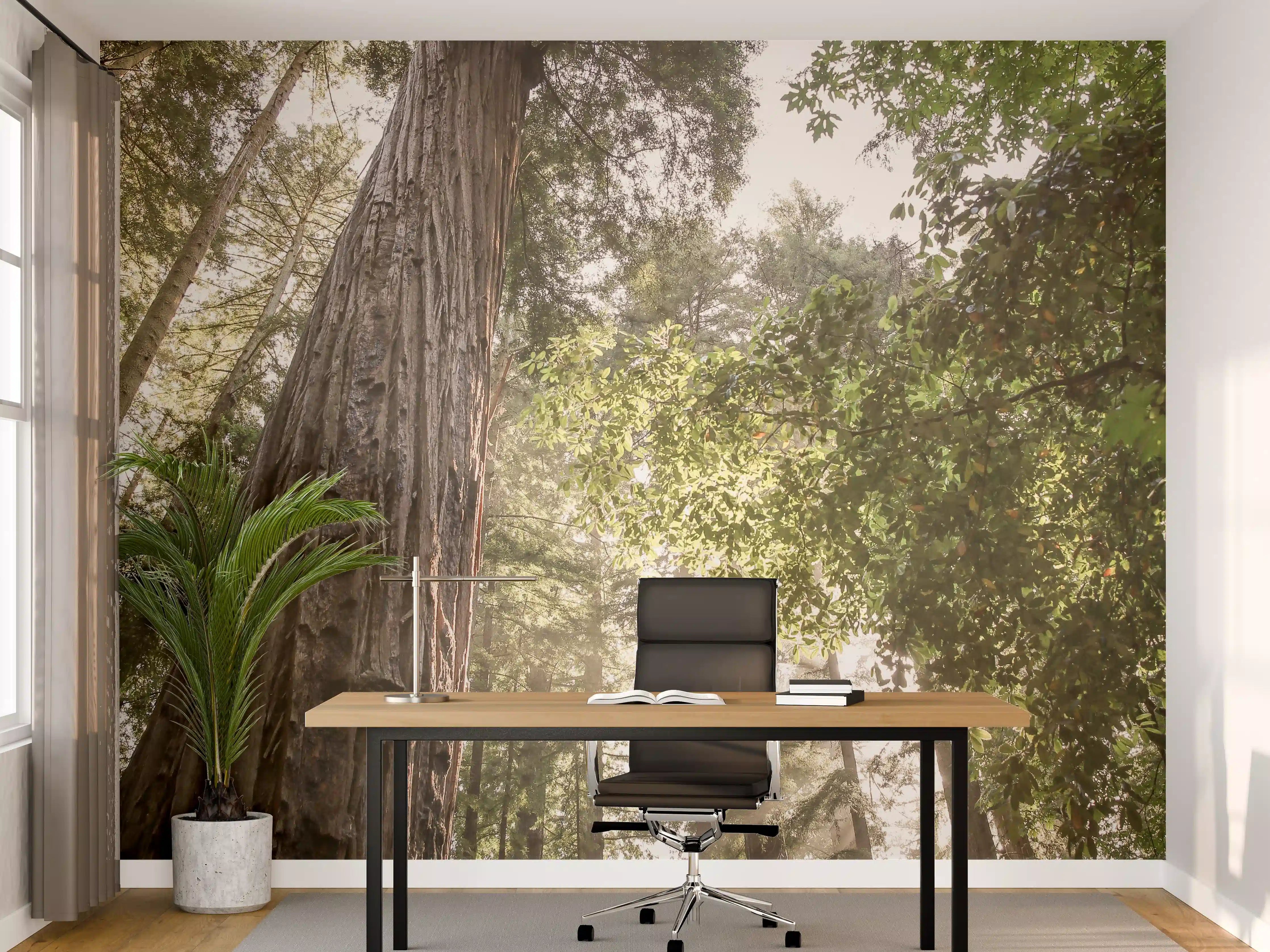 Büro Wandgestaltung - Grauer Baum im Sonnenstrahl