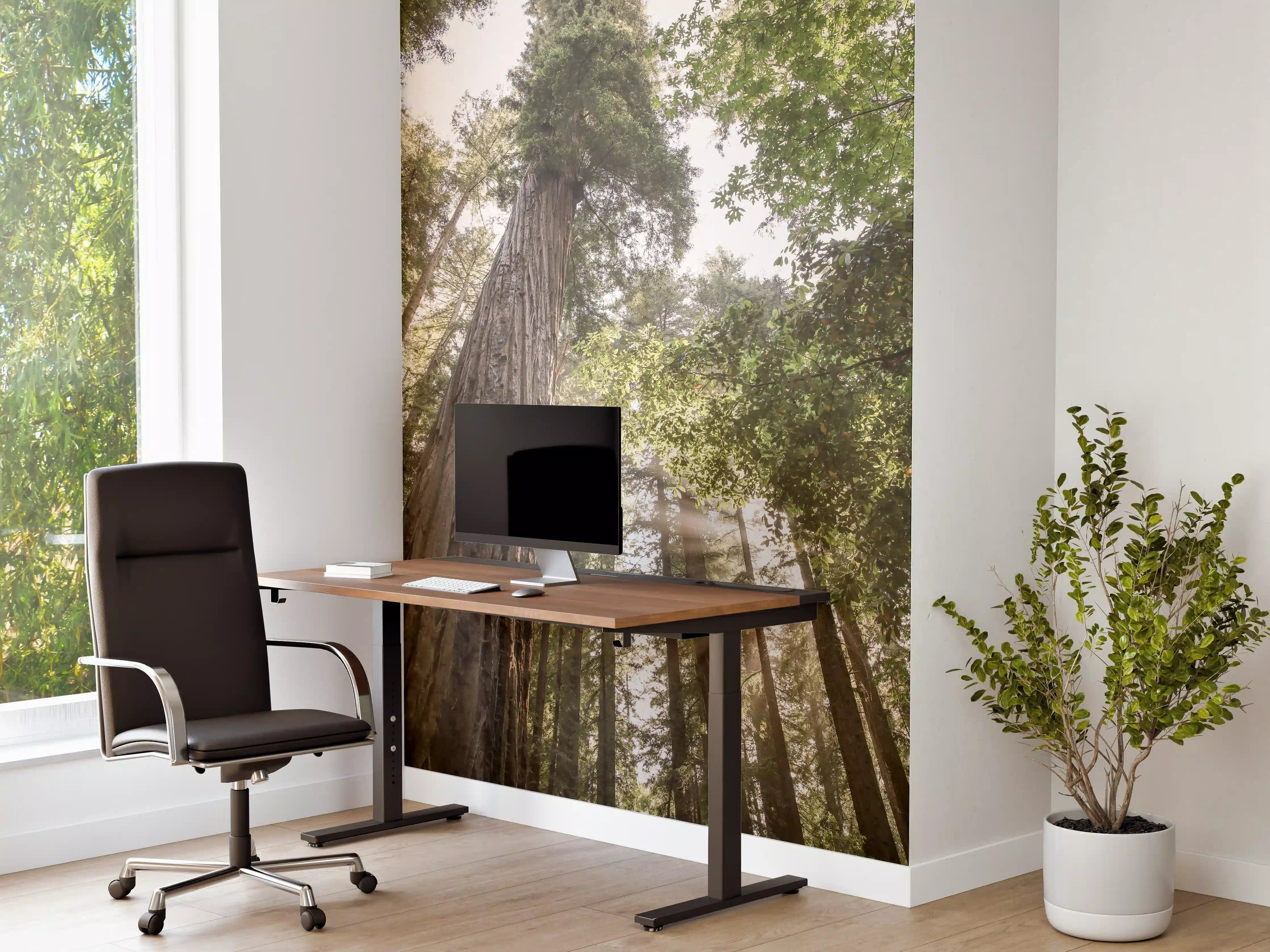 Büro Wandgestaltung - Grauer Baum im Sonnenstrahl